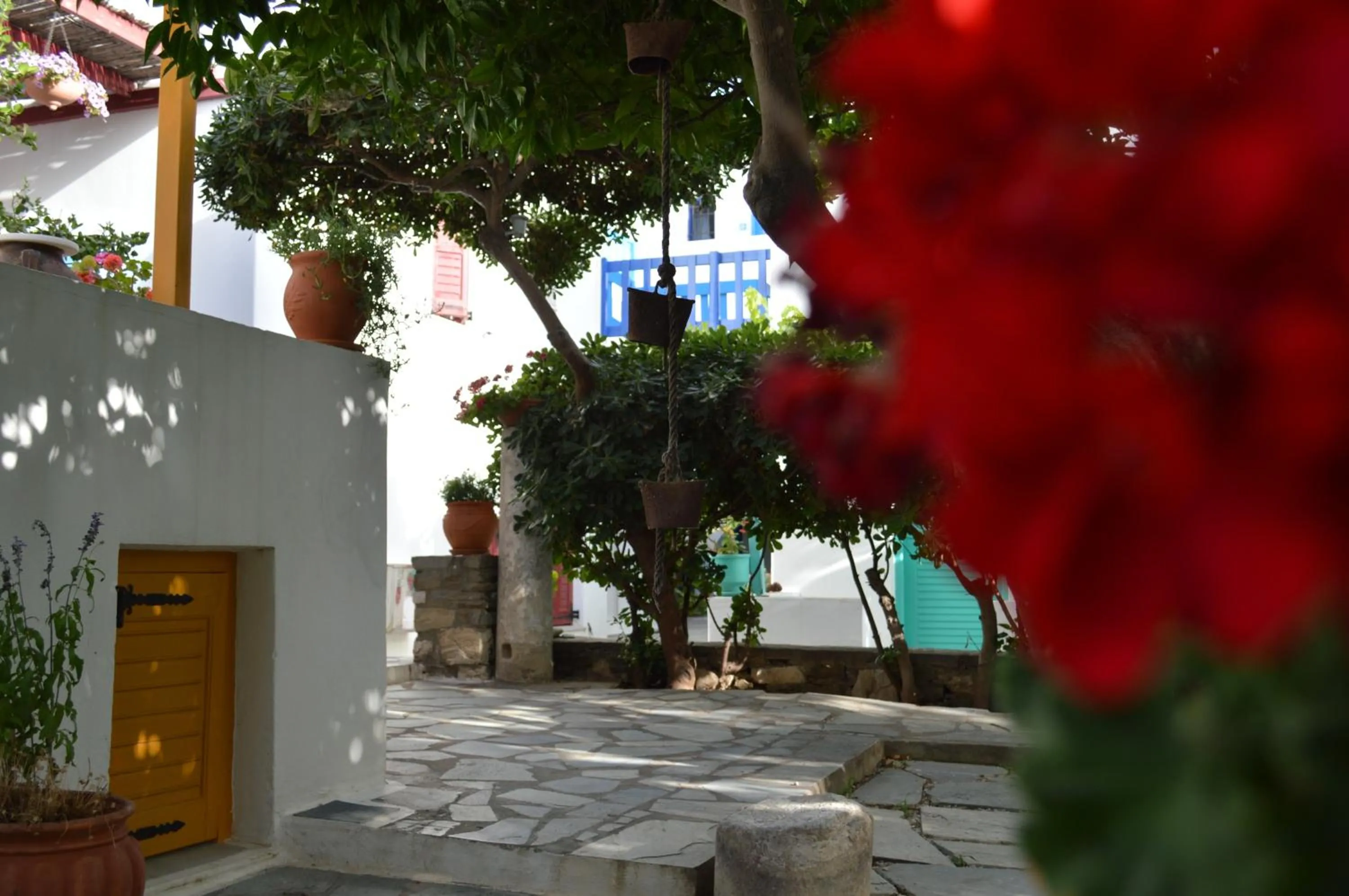 Day in Aegean Village