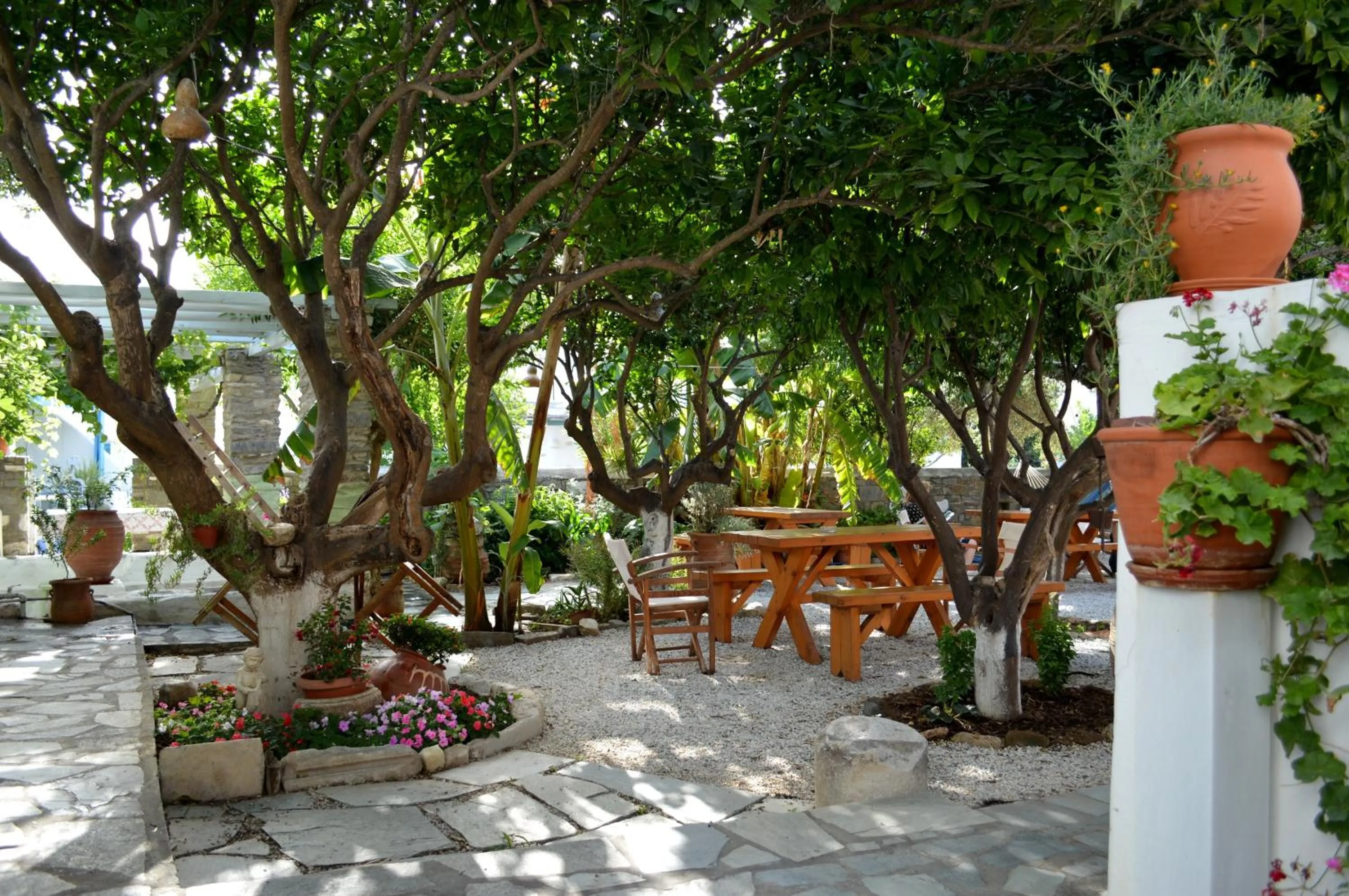 Day in Aegean Village