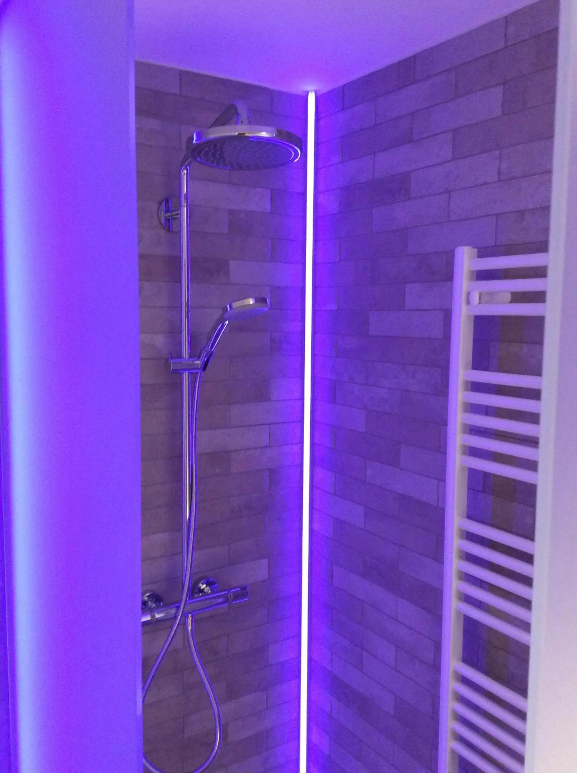 Shower in B&B wellness Sea Nat voor Naturisten