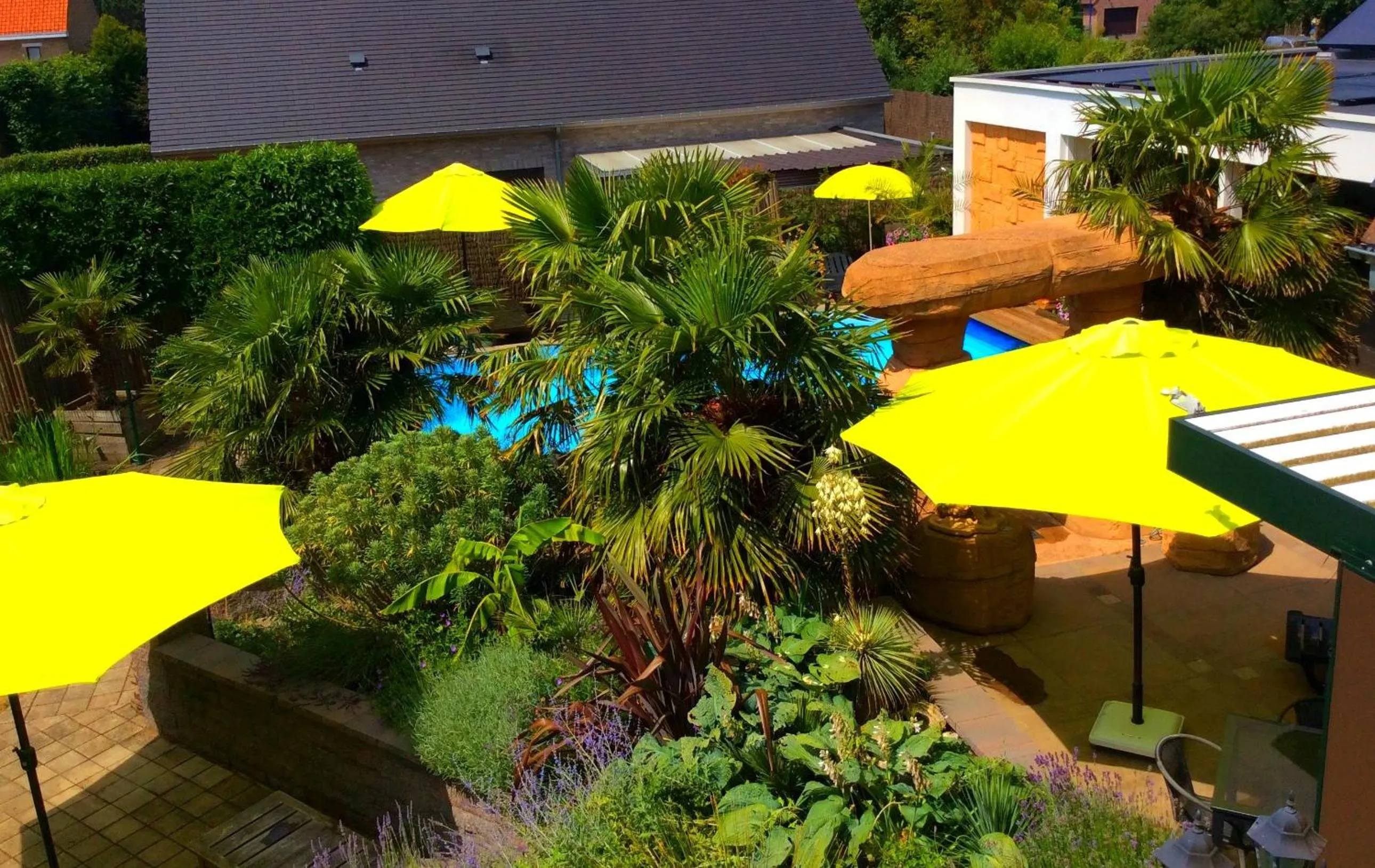 Swimming pool in B&B wellness Sea Nat voor Naturisten