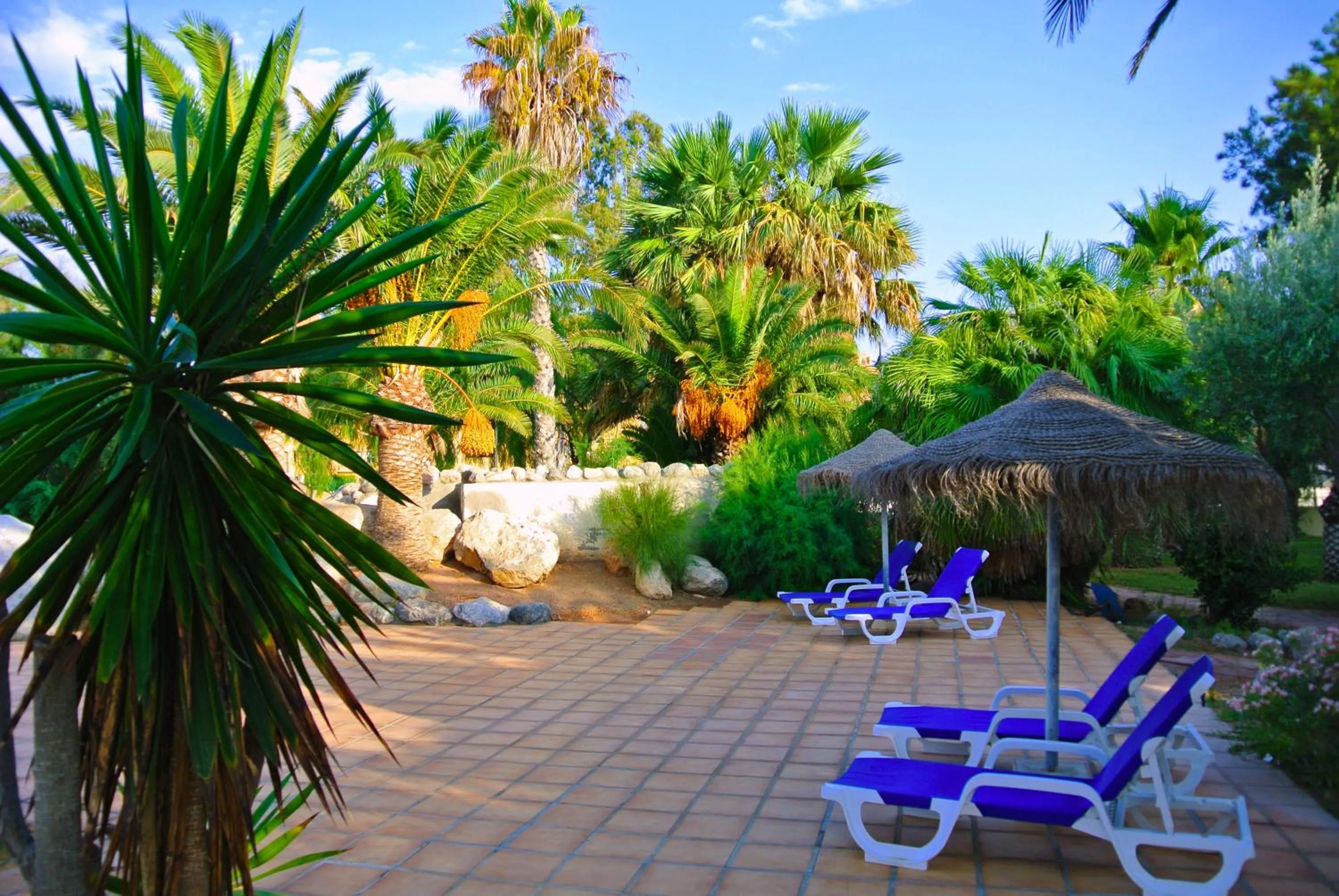 Solarium in Apartamentos Moguima