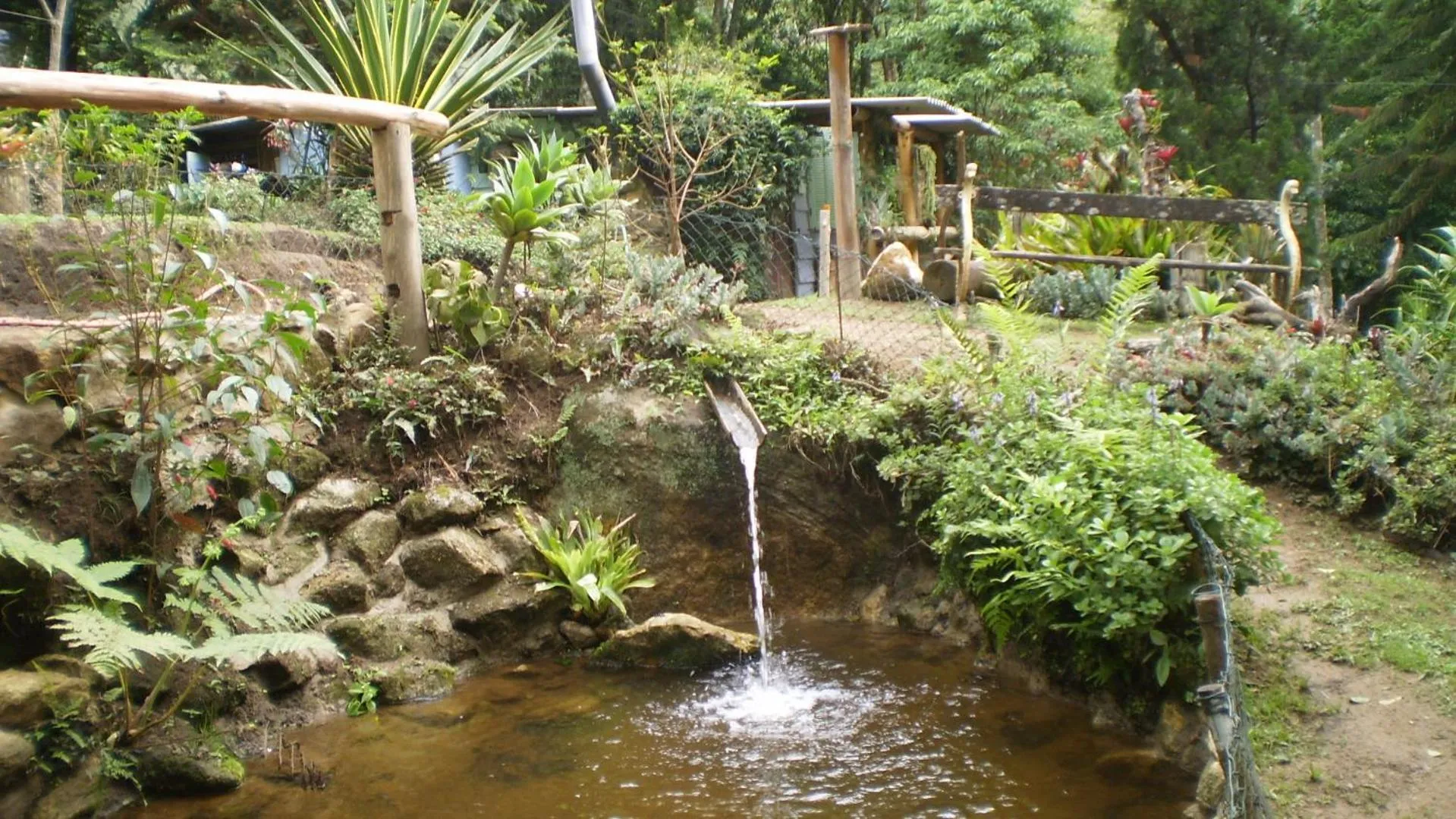 Natural landscape in Chales Bamboo Jungle