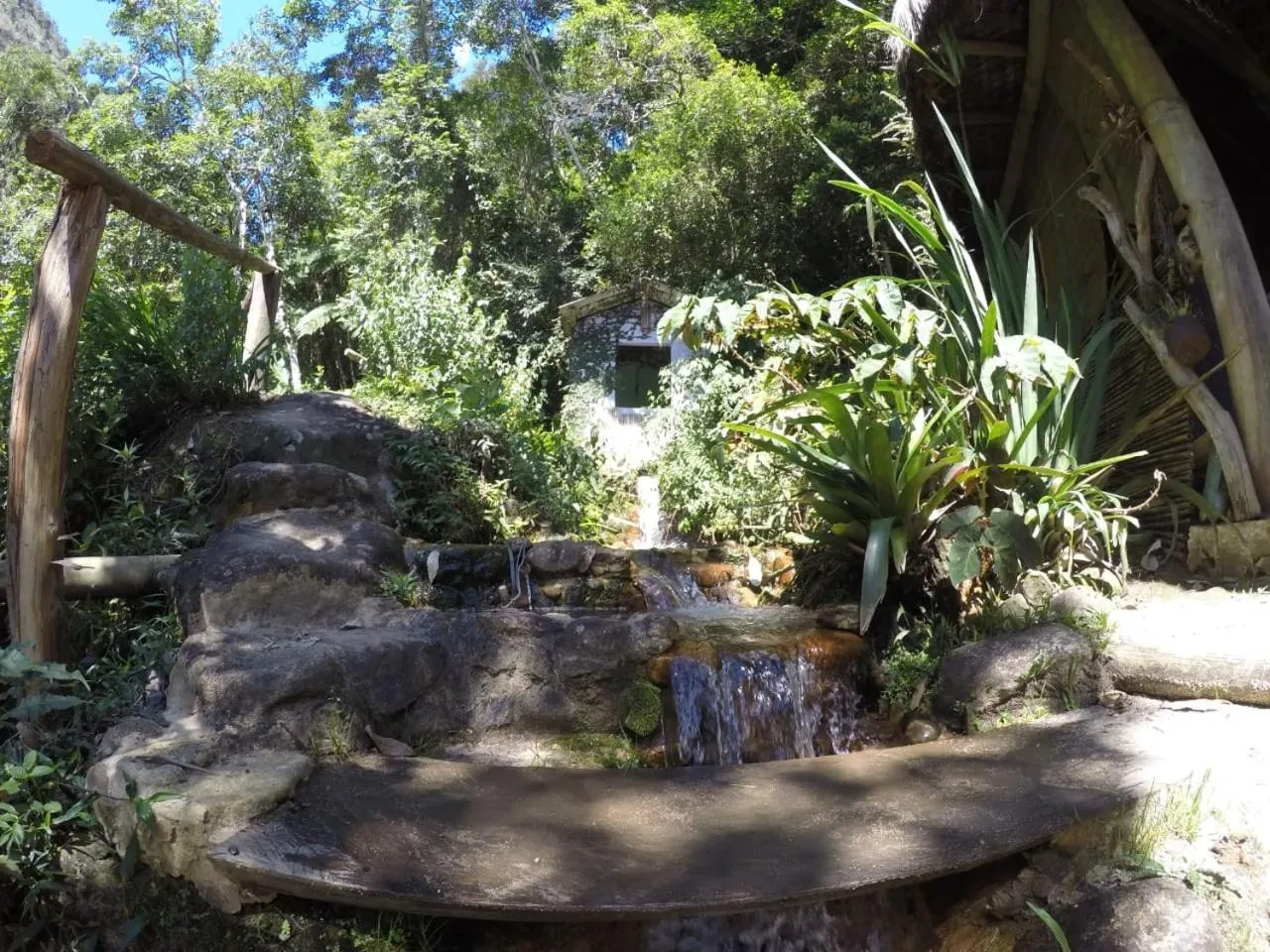 Natural landscape in Chales Bamboo Jungle