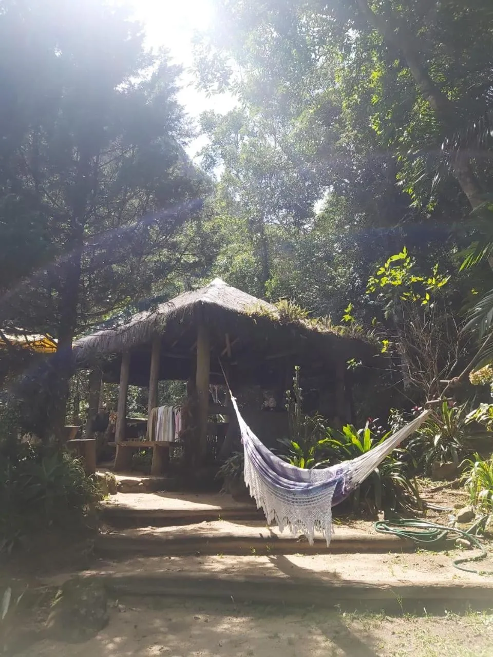 Chales Bamboo Jungle