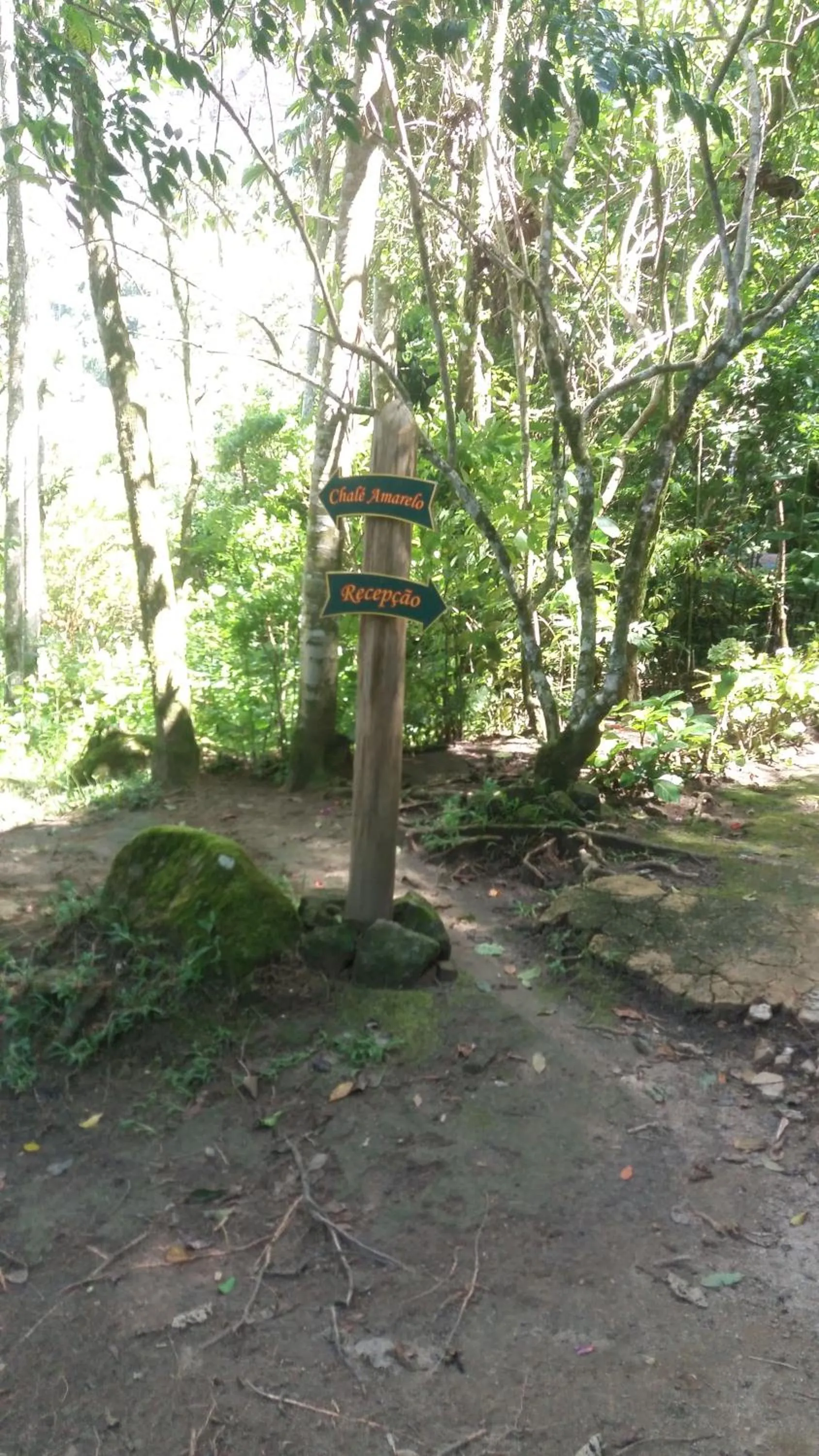 Facility for disabled guests in Chales Bamboo Jungle