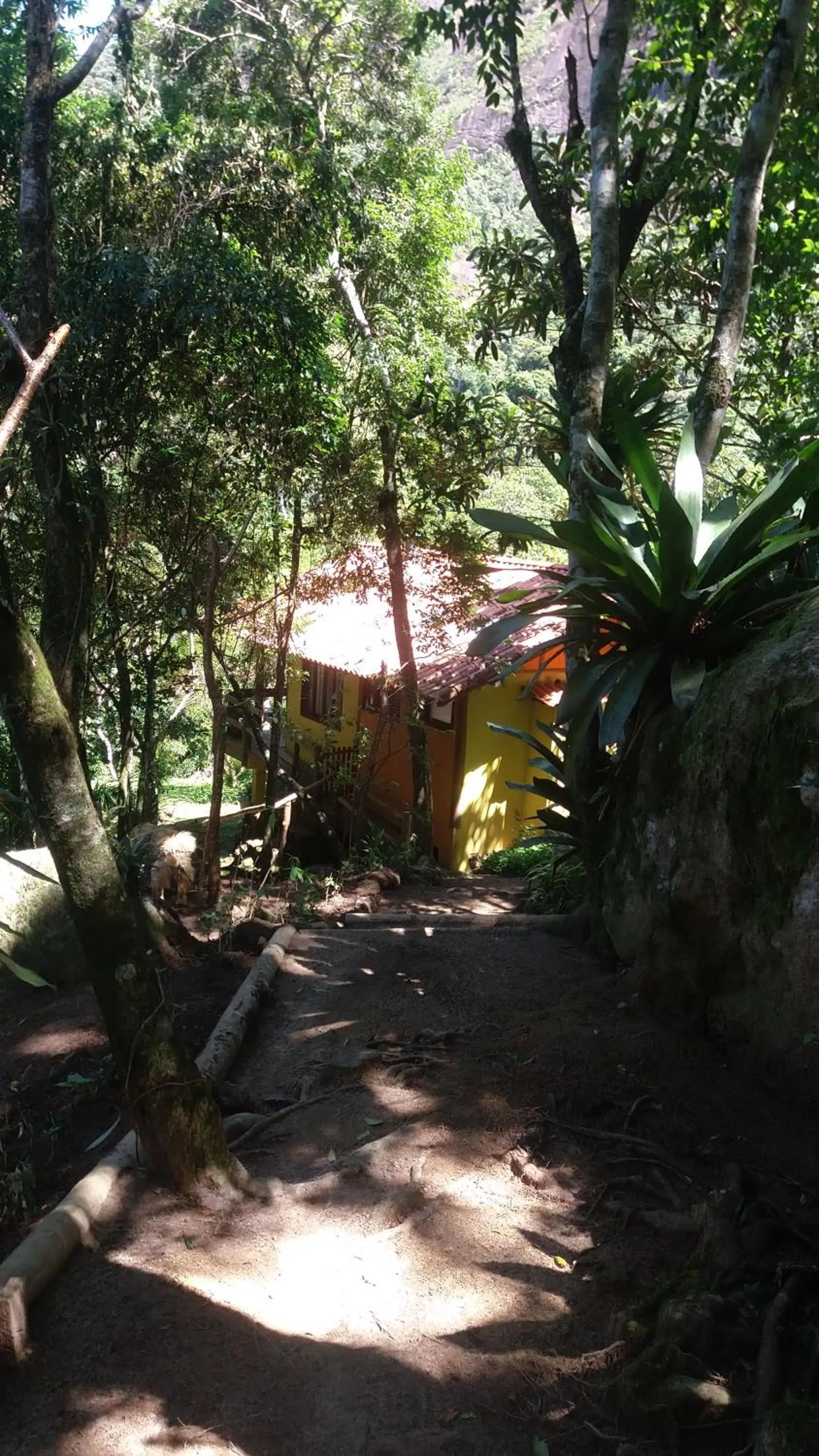 Property building in Chales Bamboo Jungle