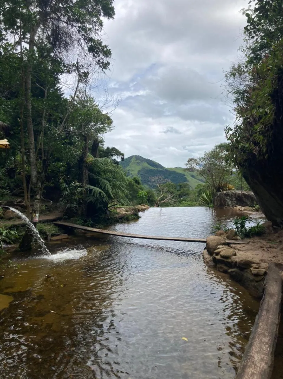 Natural landscape in Chales Bamboo Jungle