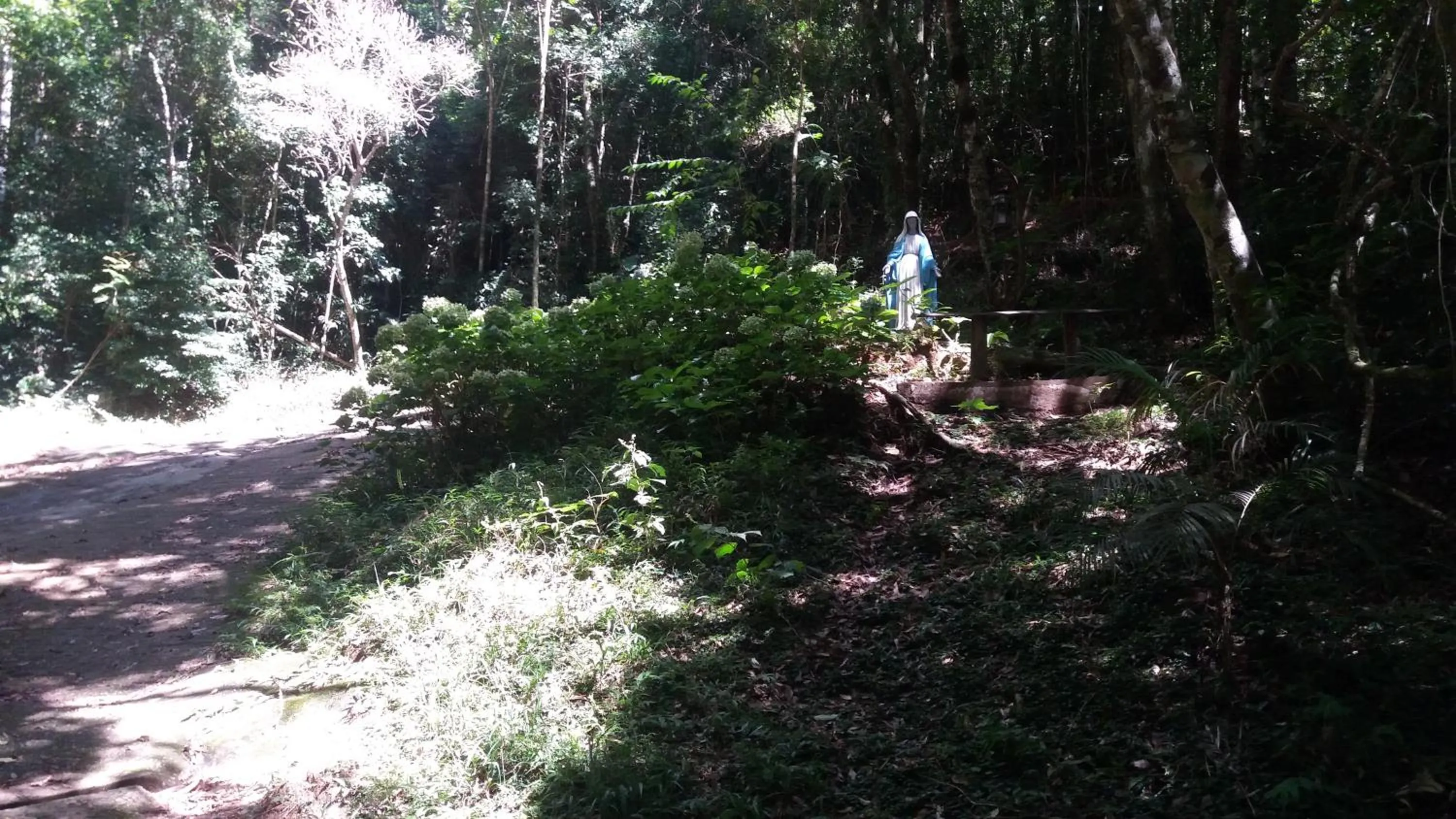 Garden in Chales Bamboo Jungle