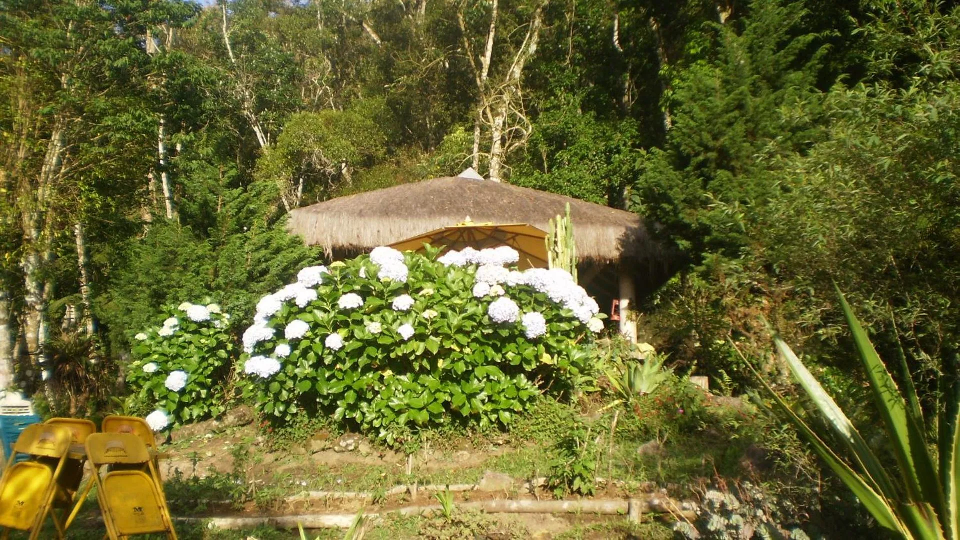 BBQ facilities in Chales Bamboo Jungle