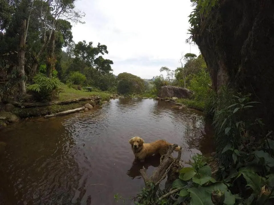 River view in Chales Bamboo Jungle