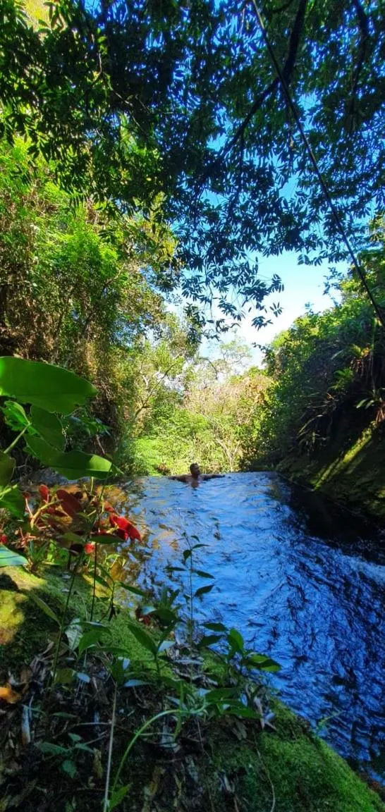 Nearby landmark in Chales Bamboo Jungle
