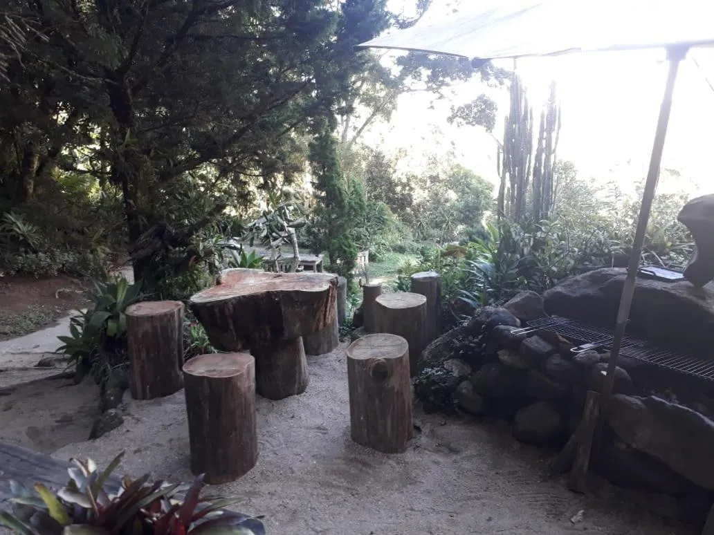Lounge or bar in Chales Bamboo Jungle