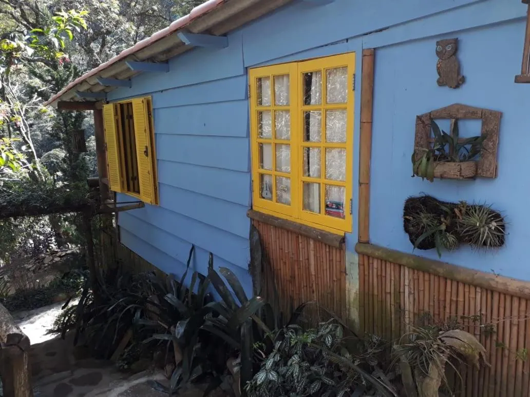 Property building in Chales Bamboo Jungle