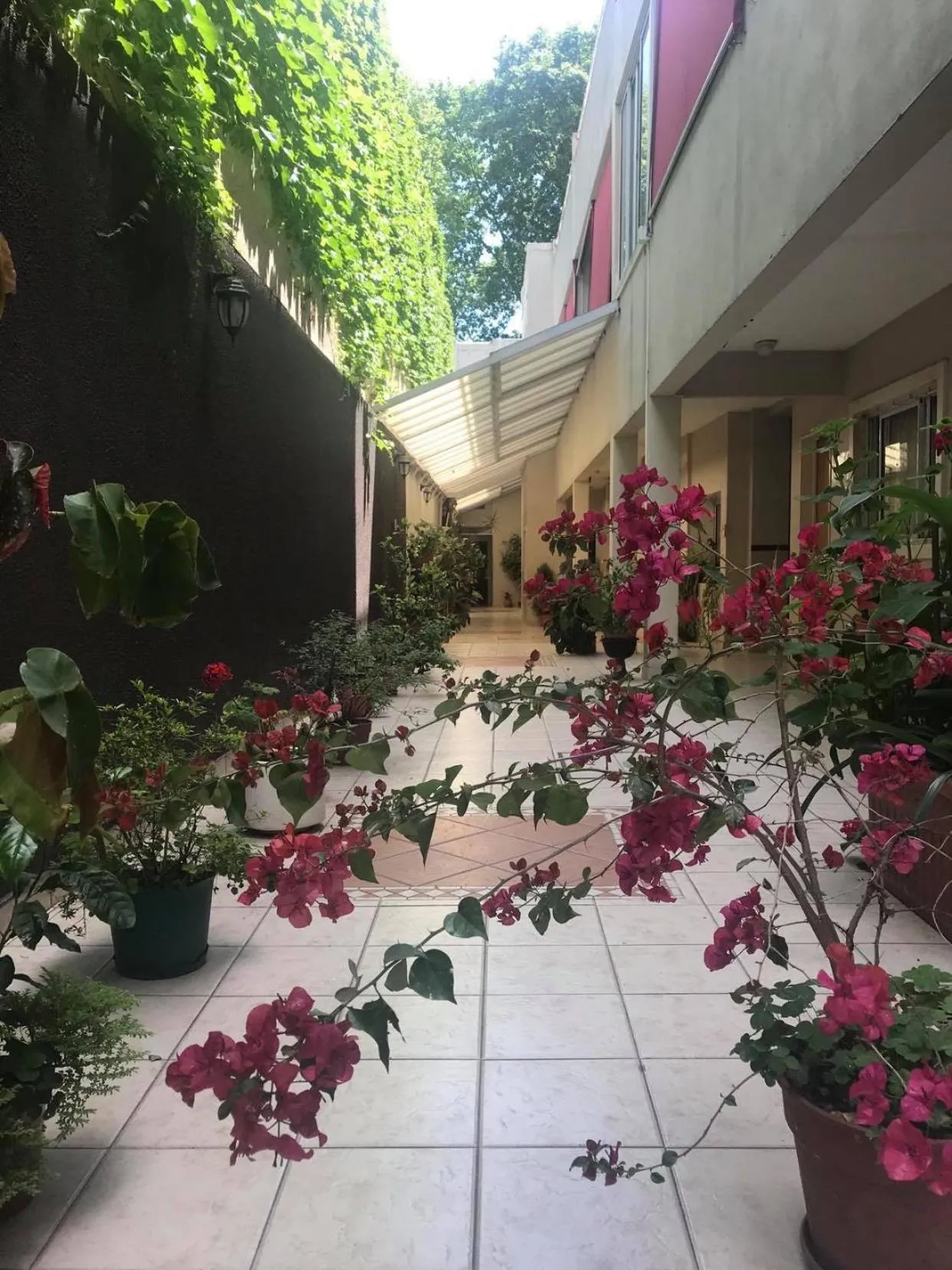 Patio in San Carlos Hotel