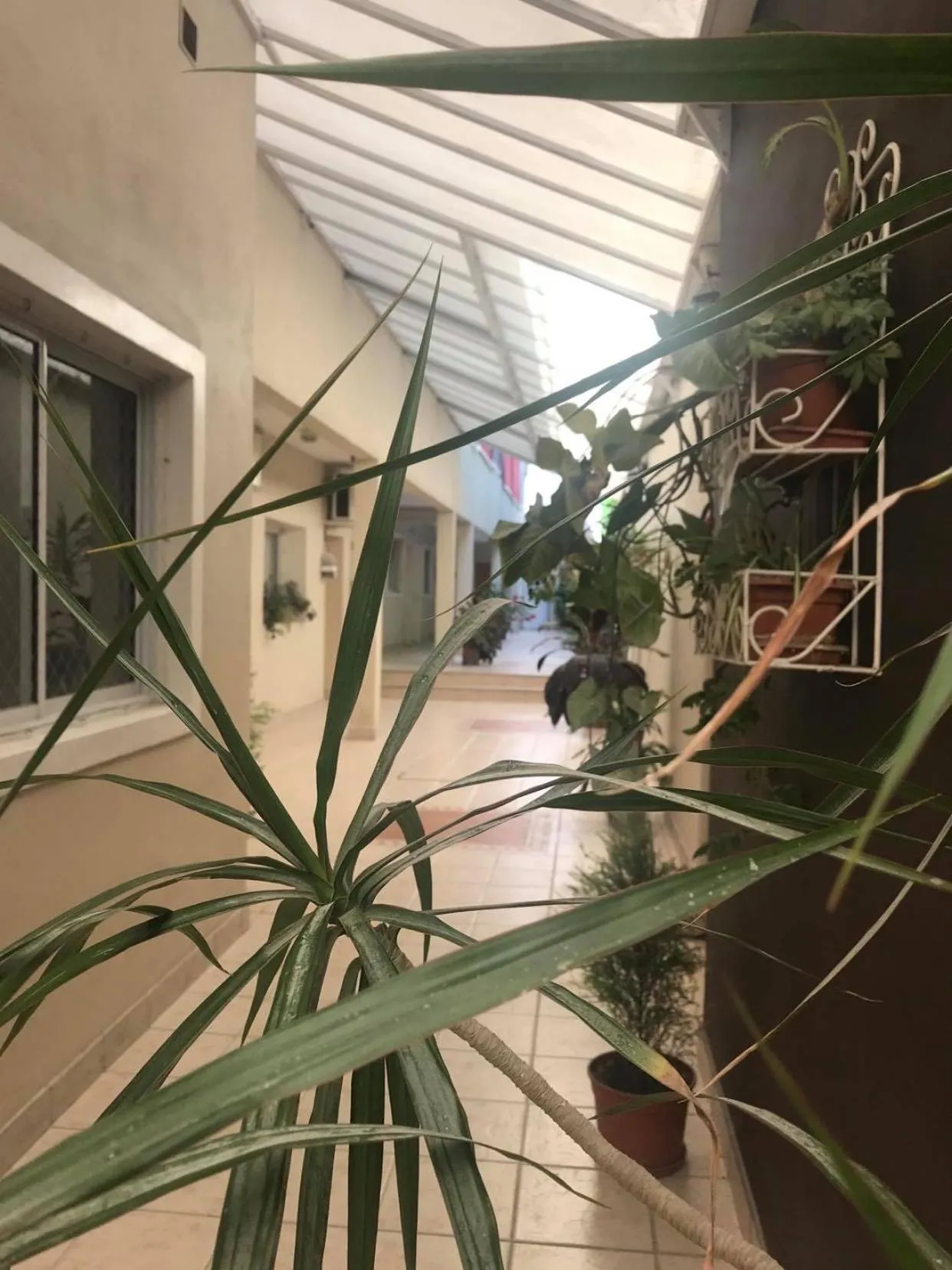 Patio in San Carlos Hotel