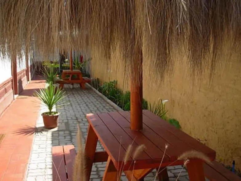 Garden in Hostal Balmaceda La Serena