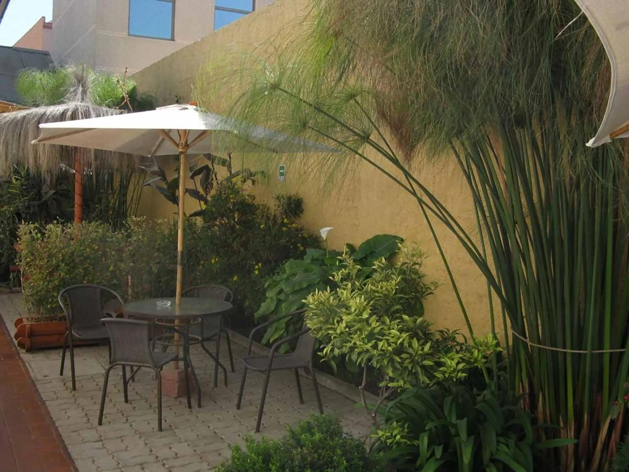 Garden in Hostal Balmaceda La Serena