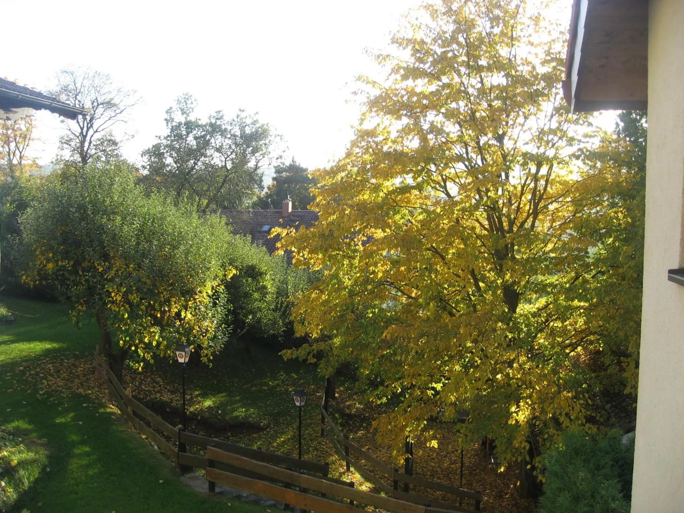 Garden in Hotel Landhaus Silbertanne