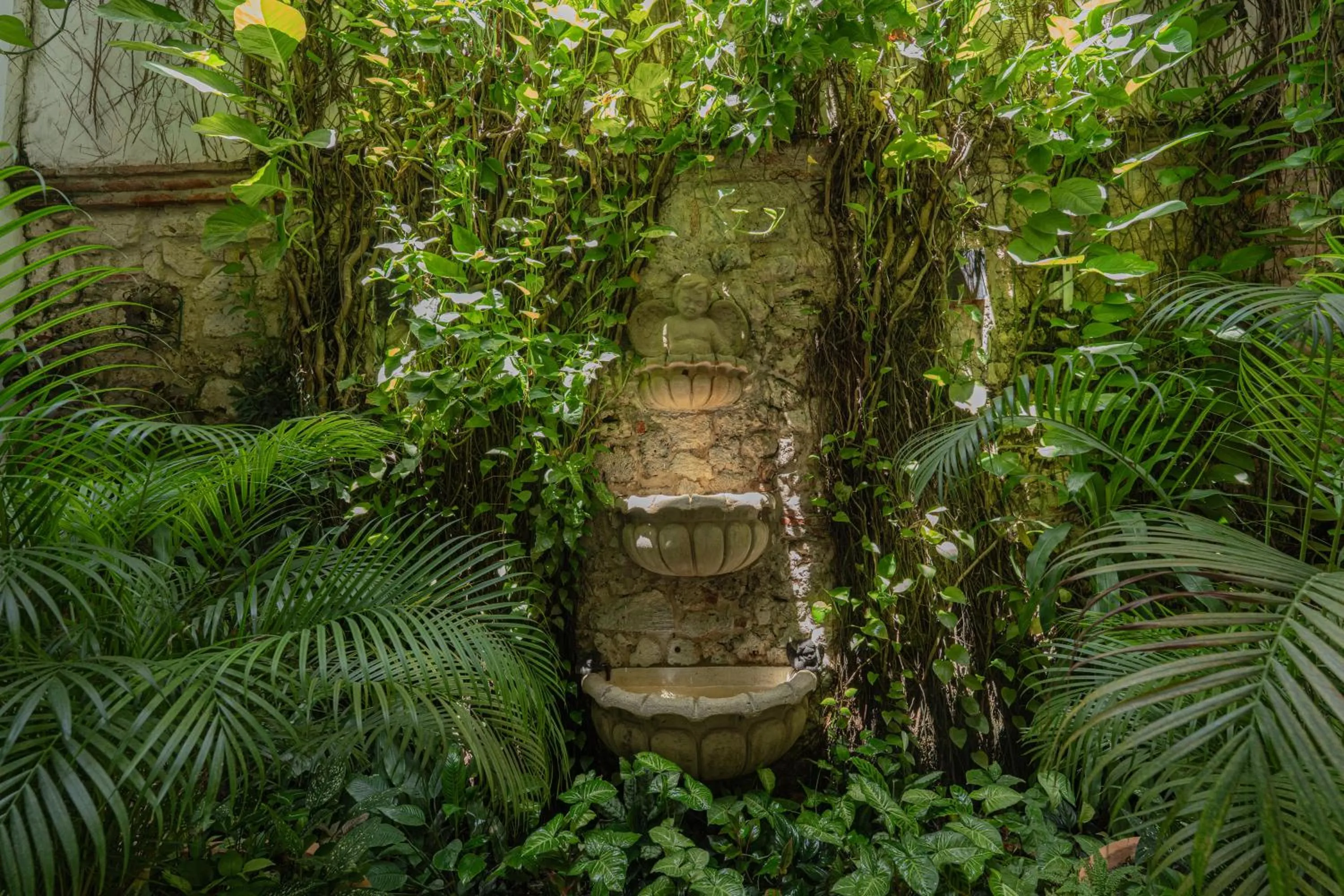 Garden in Hotel Casa La Fe