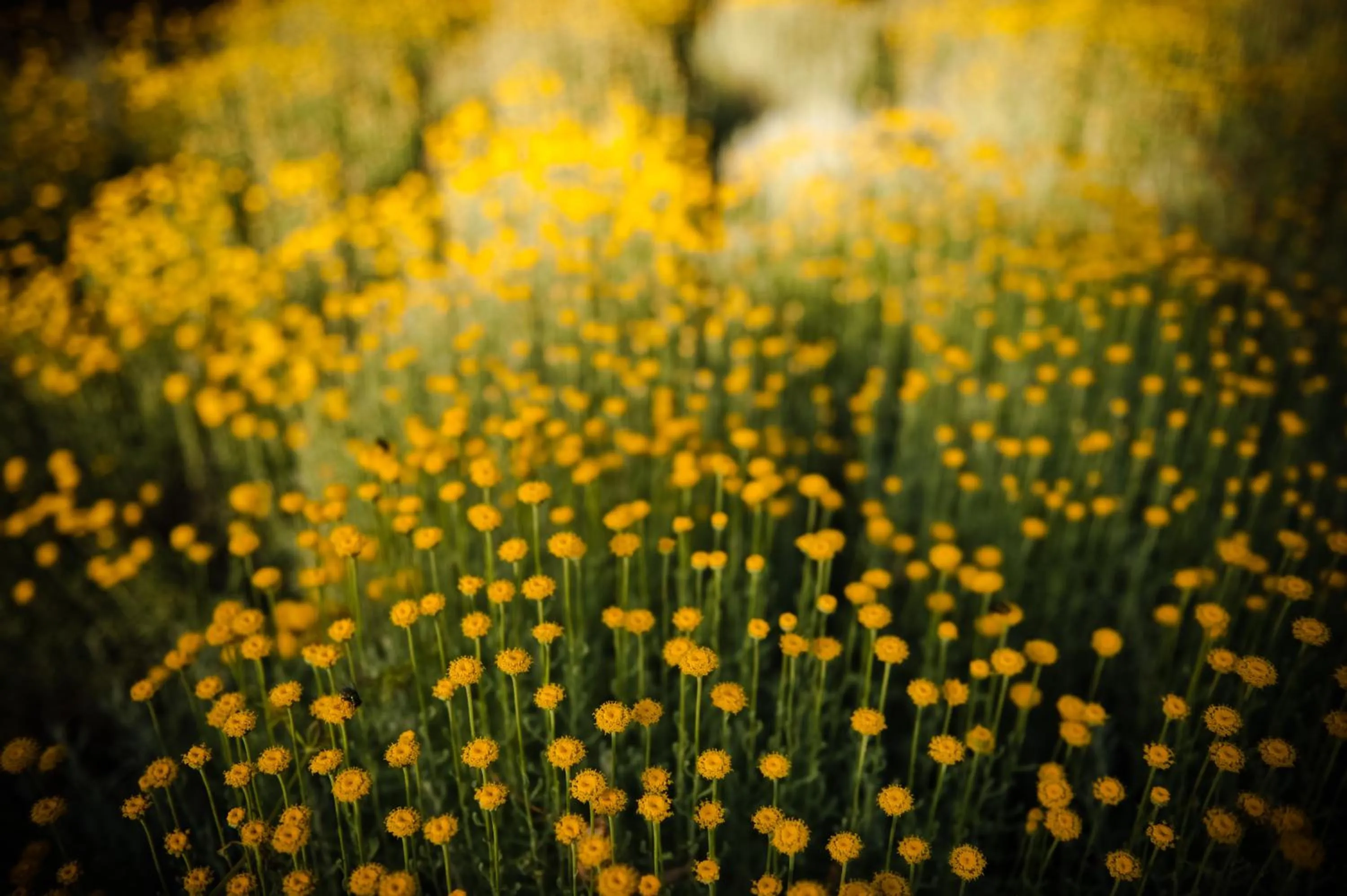 Spring in Borgo Dei Conti Resort Relais & Chateaux