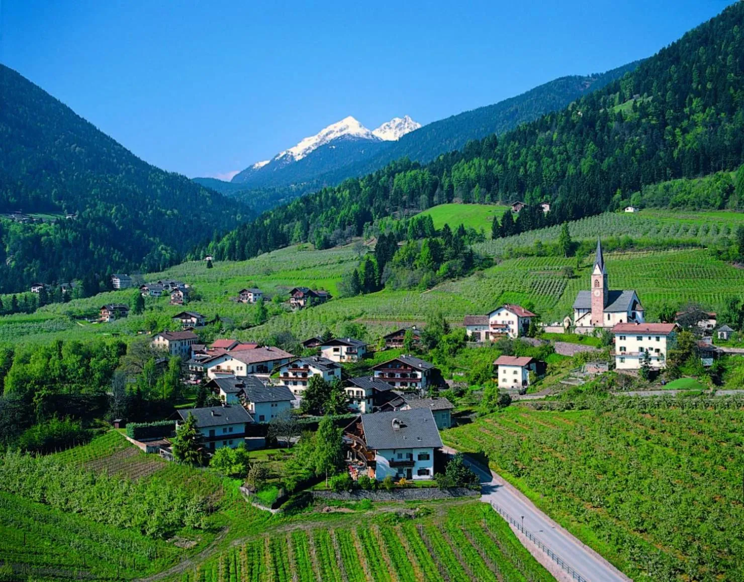 Area and facilities in Pension Kofler