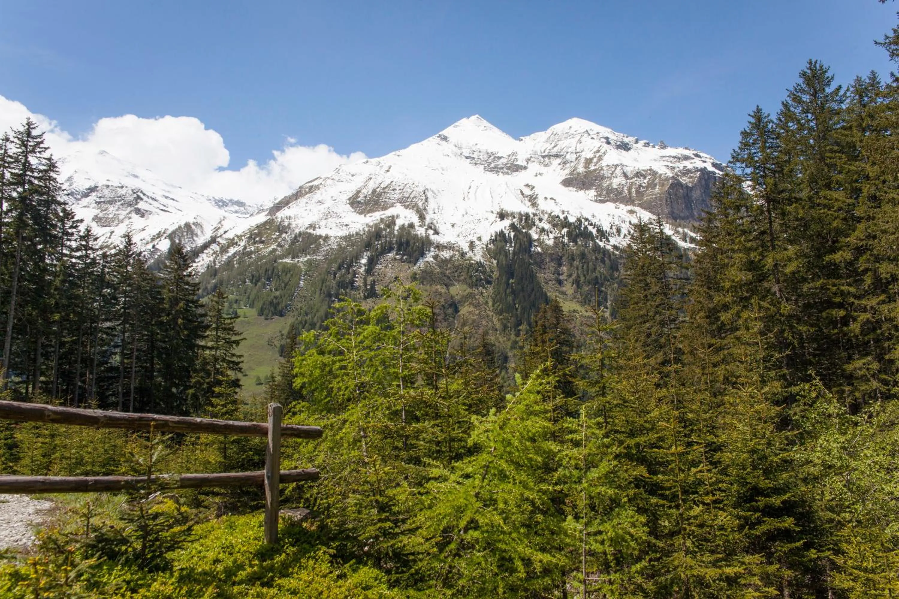 Natural landscape in Gasthof Andrelwirt Rauris