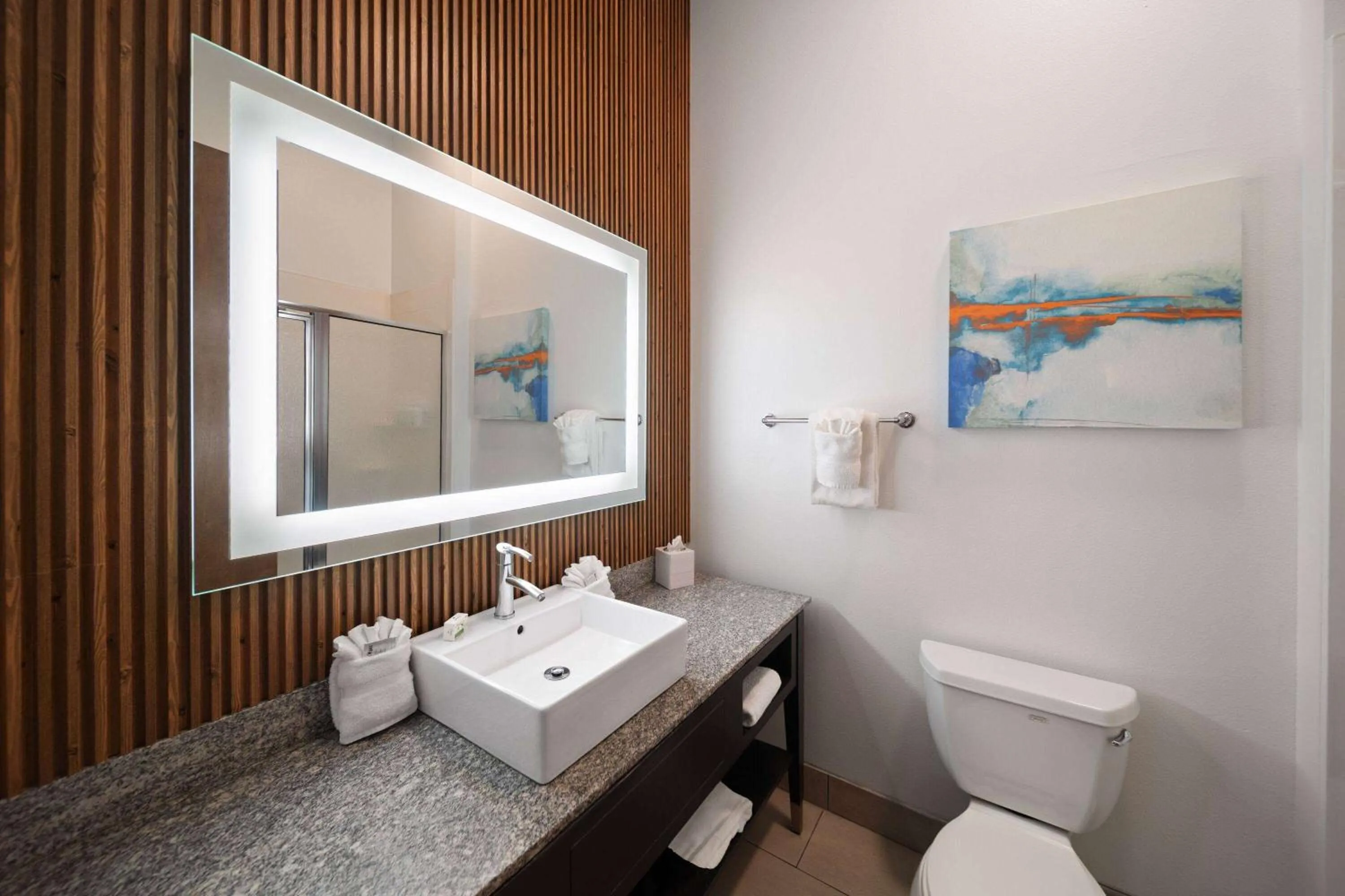 Bathroom in La Quinta by Wyndham Austin NW/Lakeline Mall