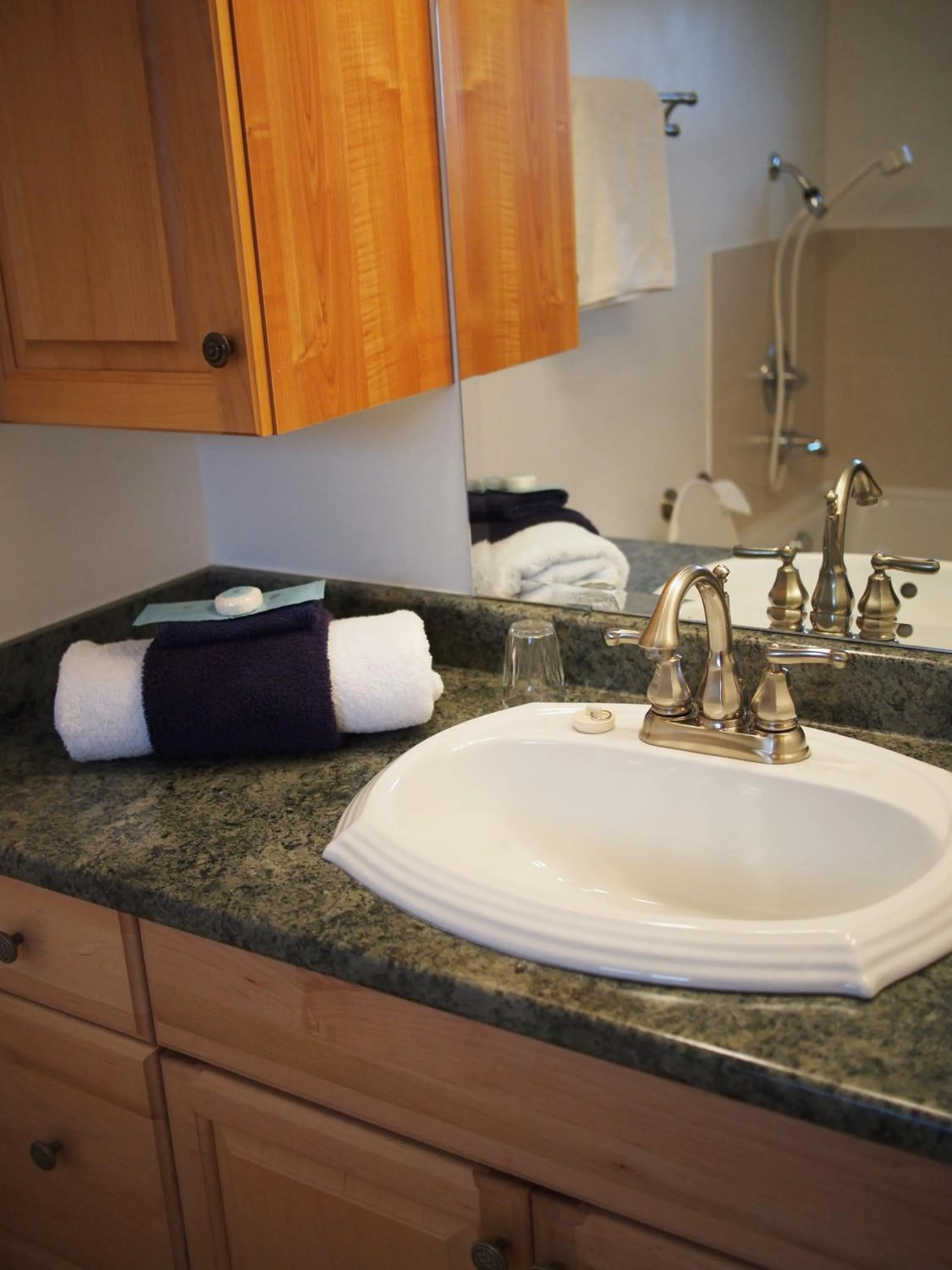 Bathroom in Whale's Tail Guest Suites