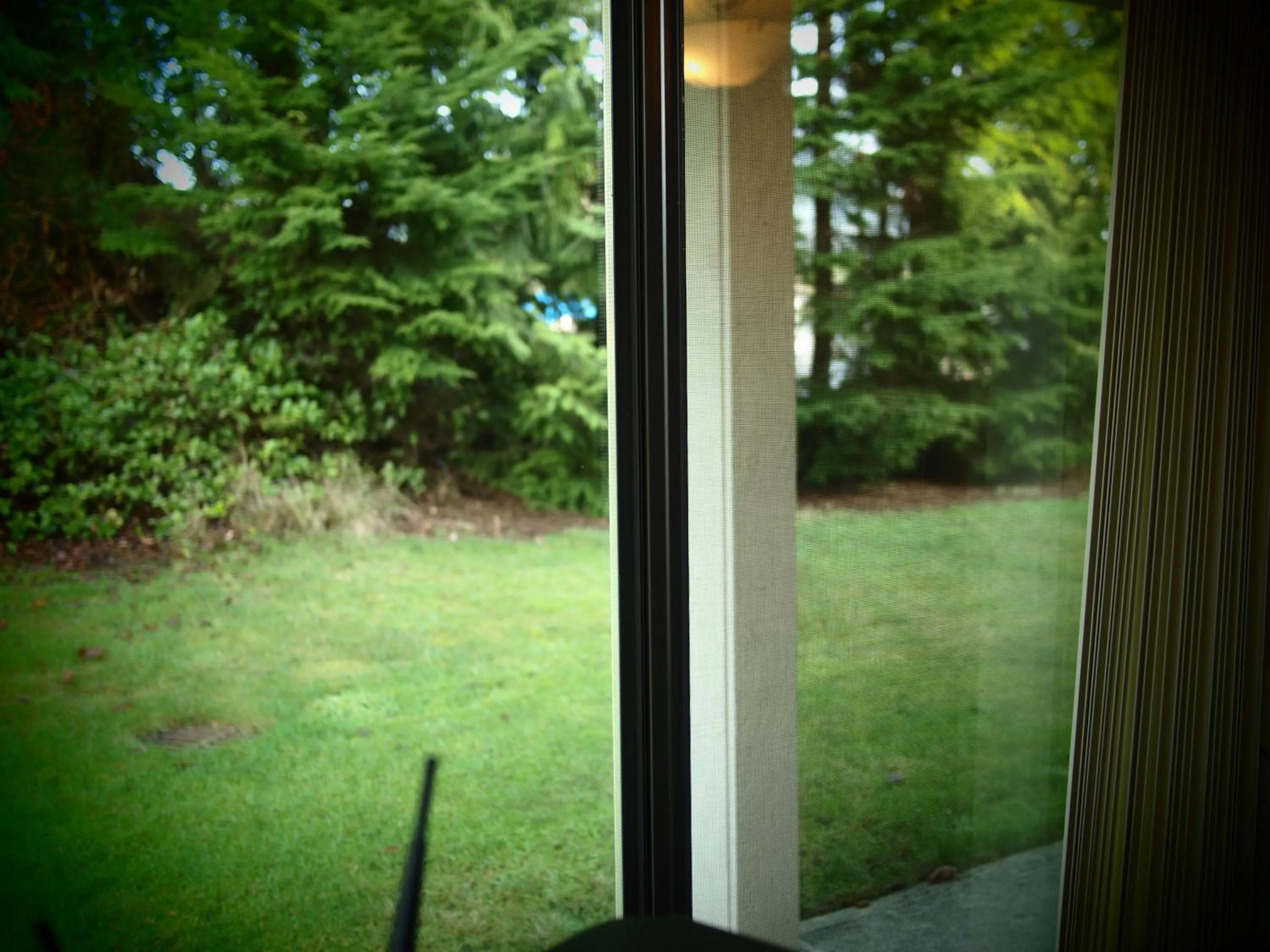 Garden view in Whale's Tail Guest Suites