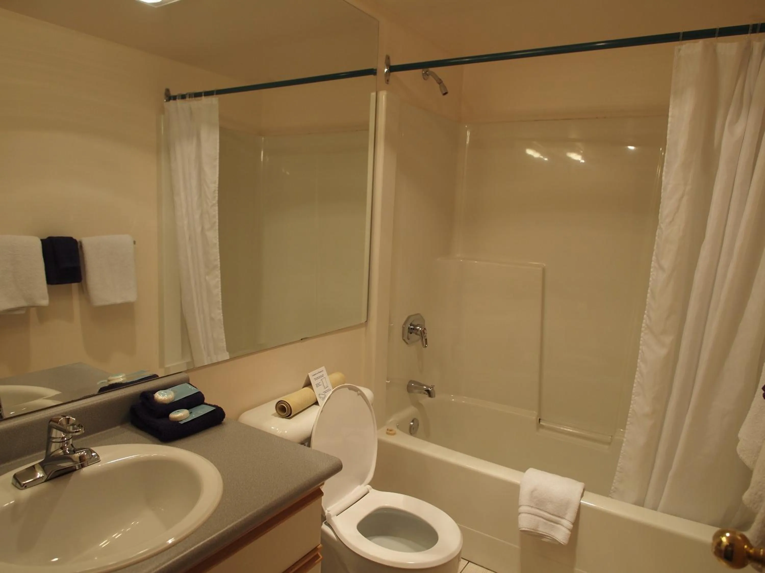 Bathroom in Whale's Tail Guest Suites