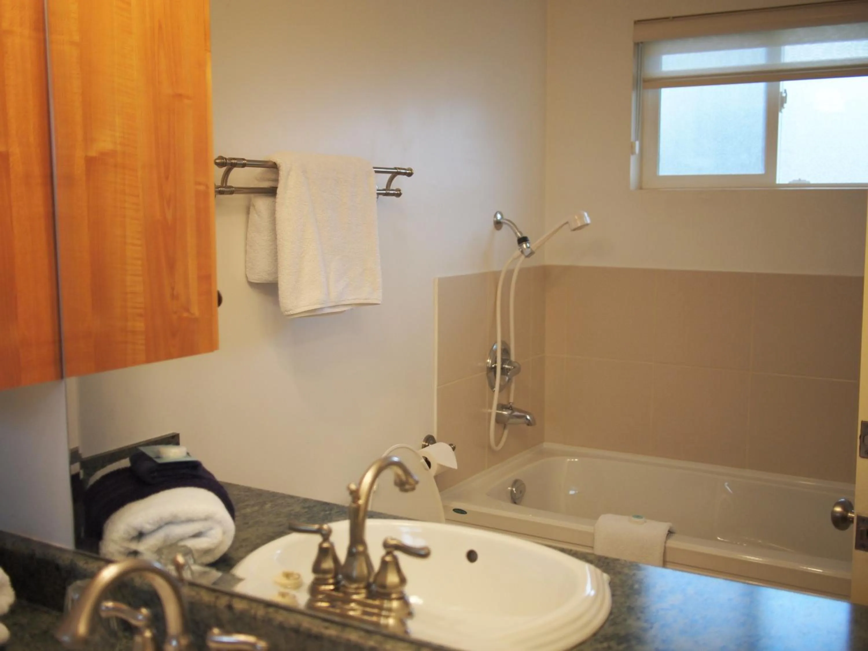 Bathroom in Whale's Tail Guest Suites