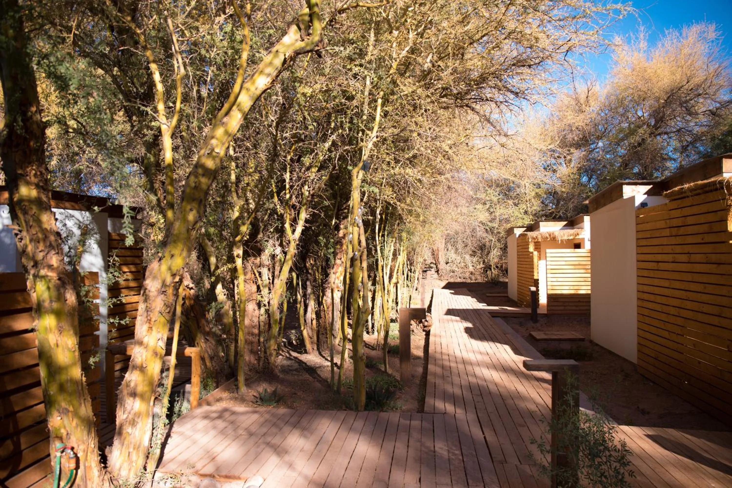 Spring in Lodge Quelana