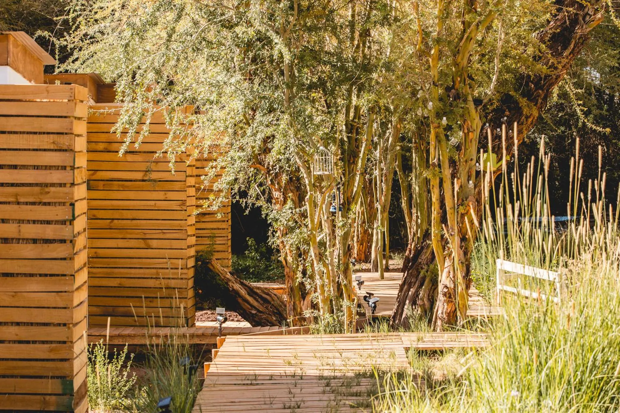 Spring in Lodge Quelana