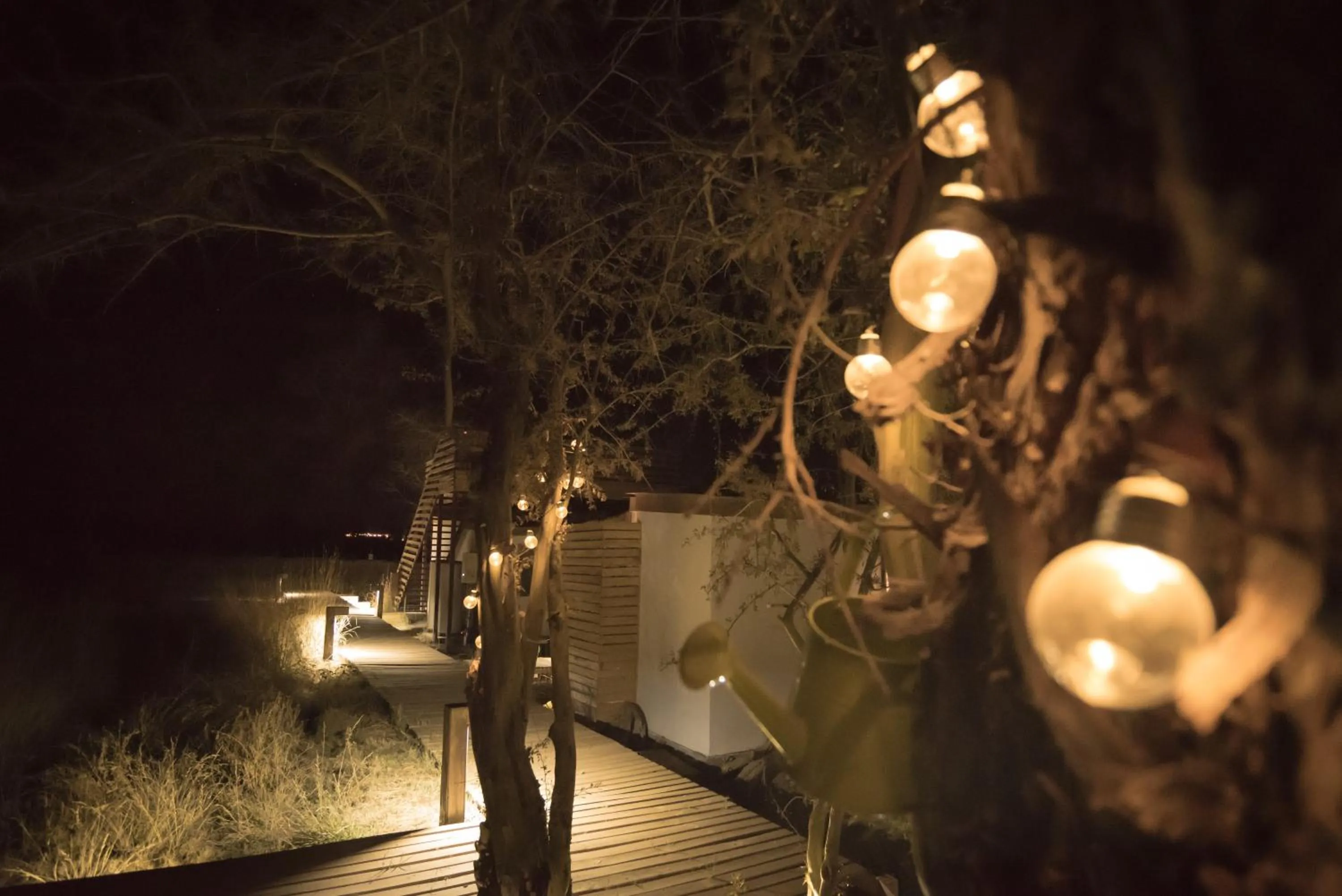 Night in Lodge Quelana