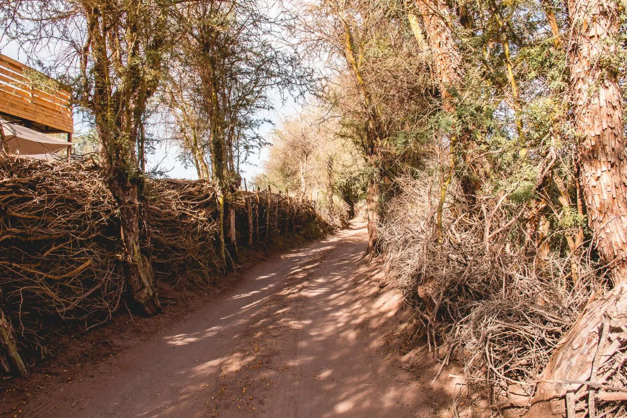 Spring in Lodge Quelana