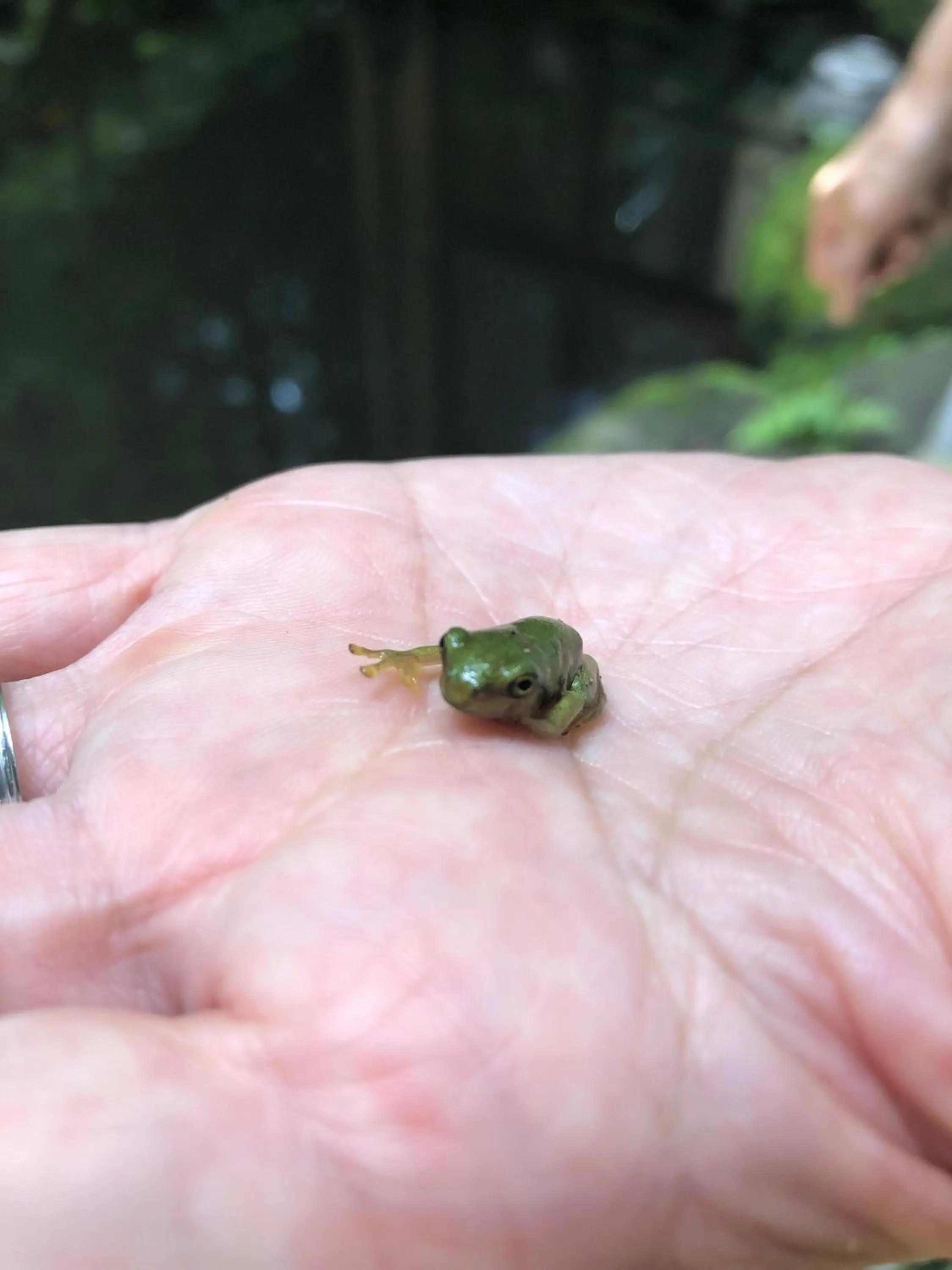 Natural landscape in YUMORI ONSEN HOSTEL