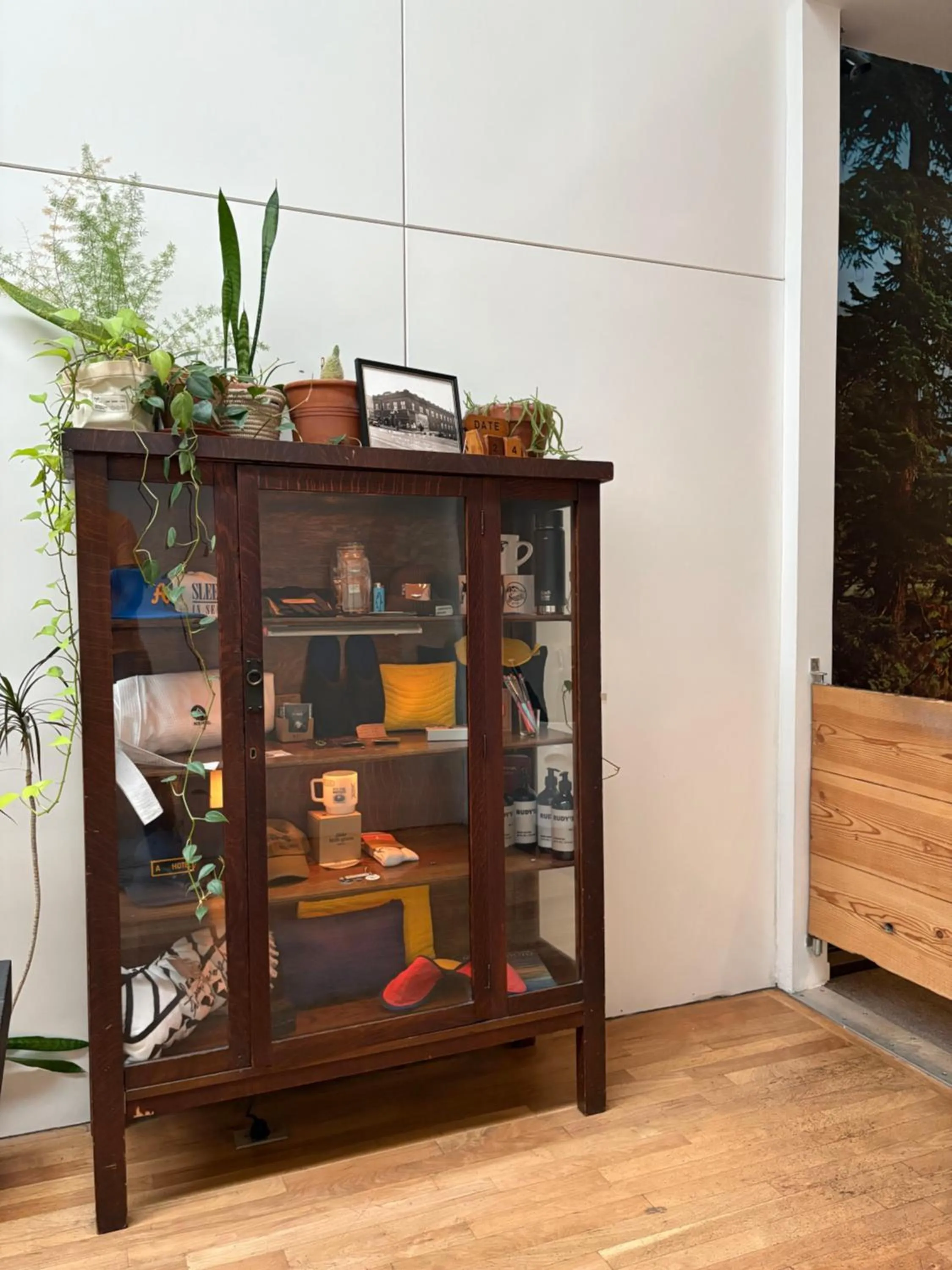 Lobby or reception in Ace Hotel Seattle