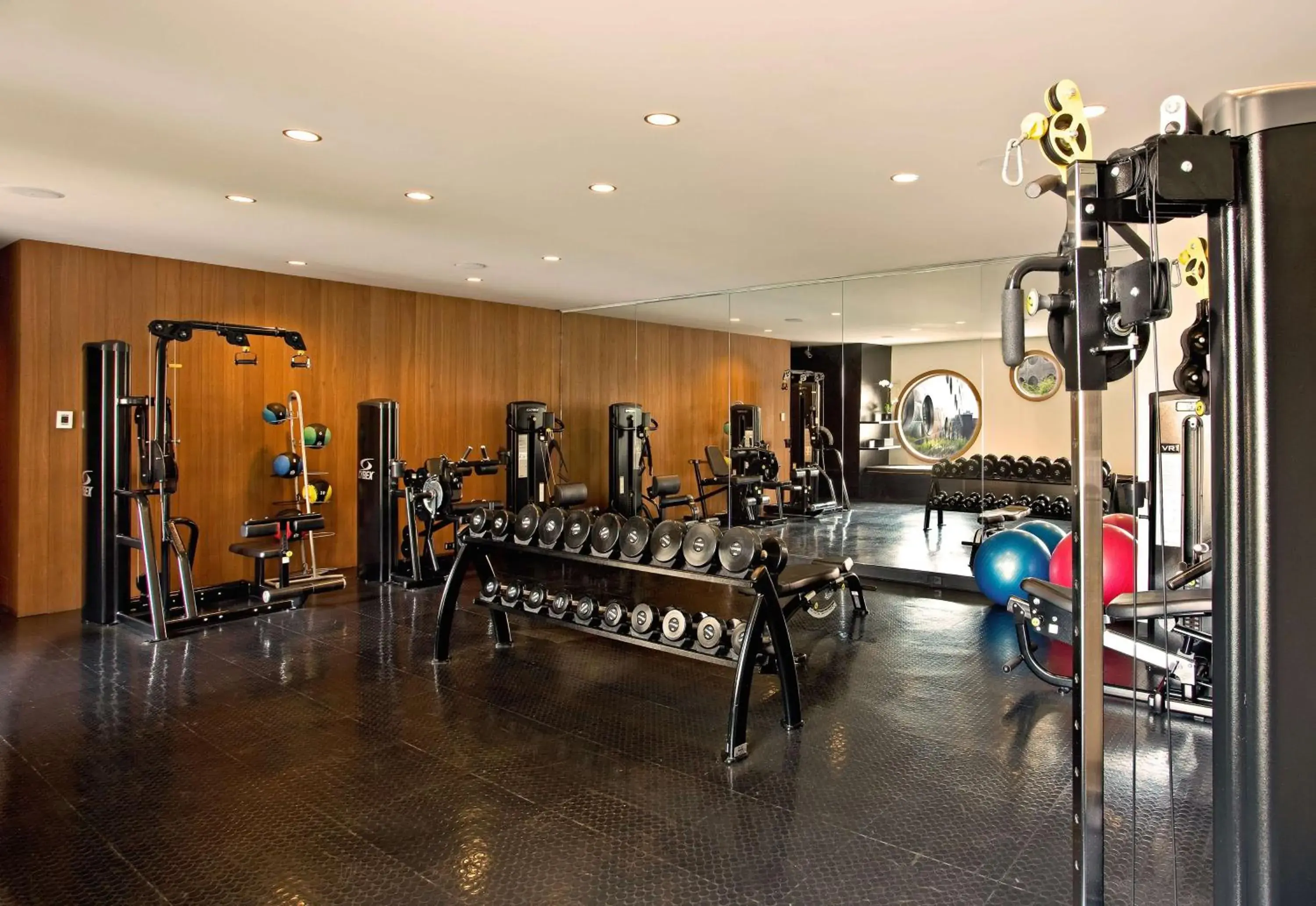 Fitness centre/facilities in Dream Downtown, by Hyatt Fitness centre/facilities in Dream Downtown, by Hyatt