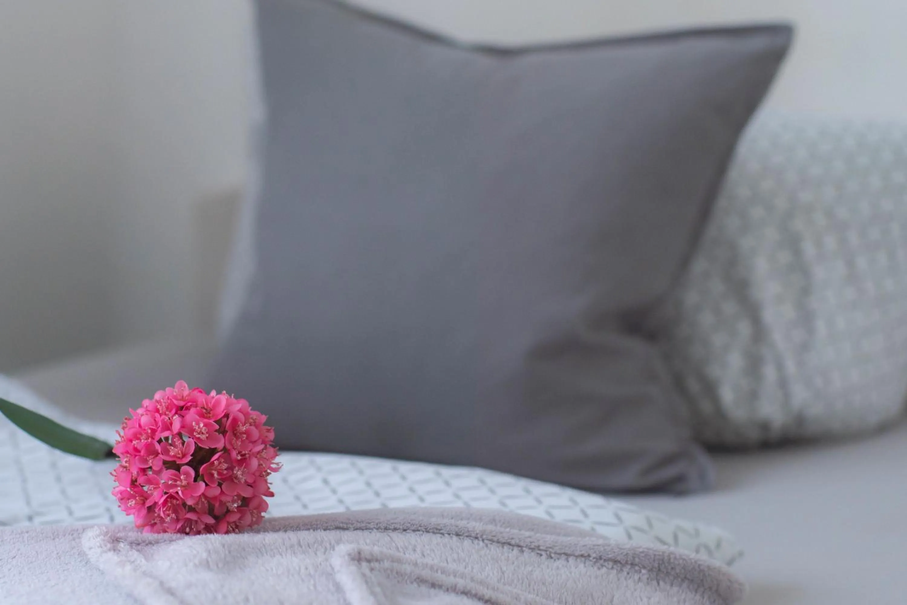 Bedroom, Bed in Hotel Schenk