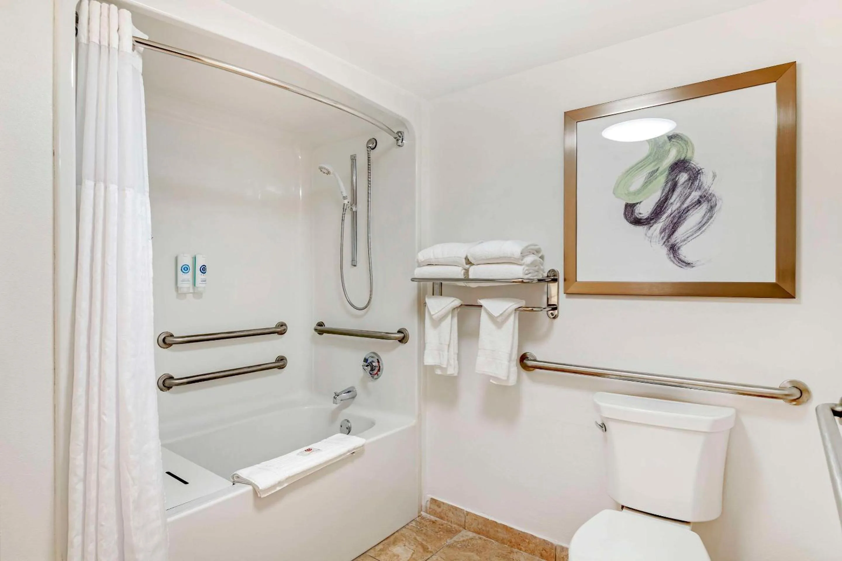 Bathroom in Comfort Suites Valdosta Mall Area