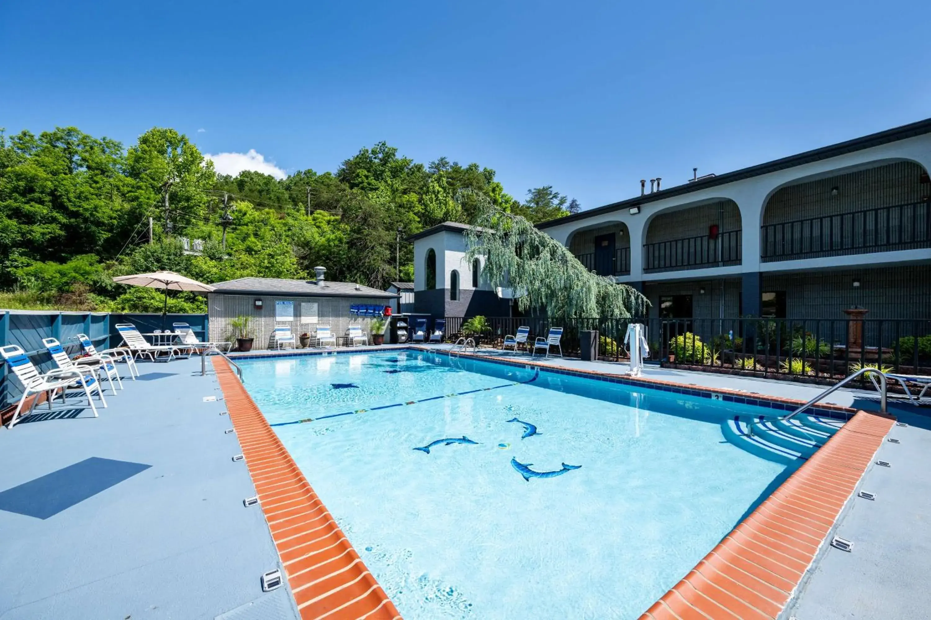 Pool view in Best Western Corbin Inn Pool view in Best Western Corbin Inn