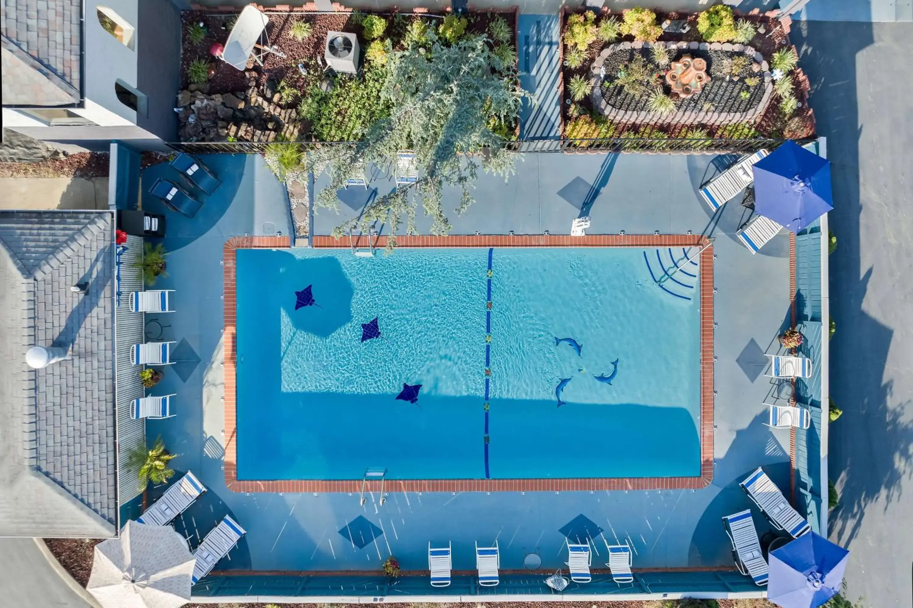 Pool view in Best Western Corbin Inn Pool view in Best Western Corbin Inn