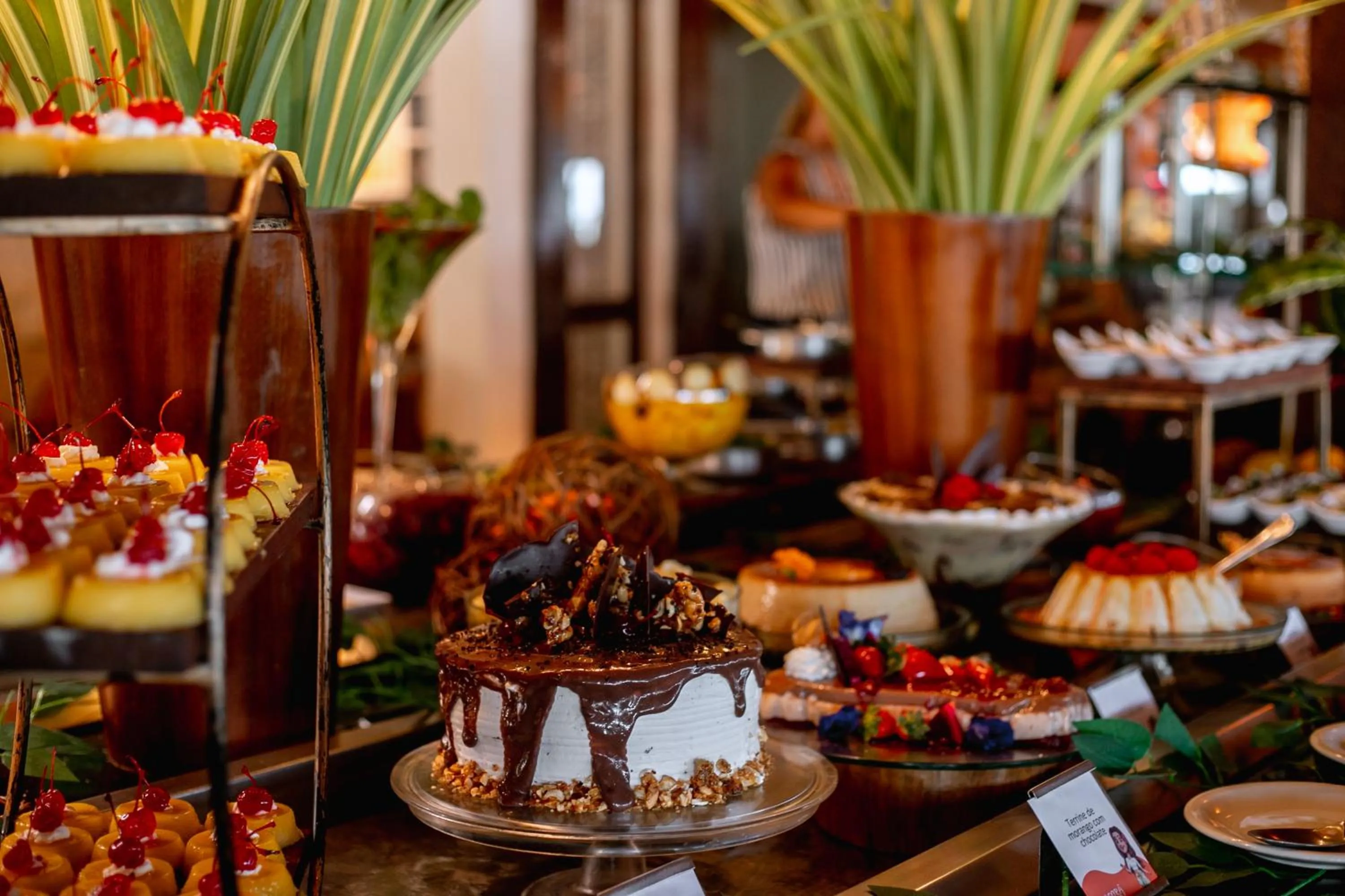 Food and drinks in Ocaporã Hotel All Inclusive