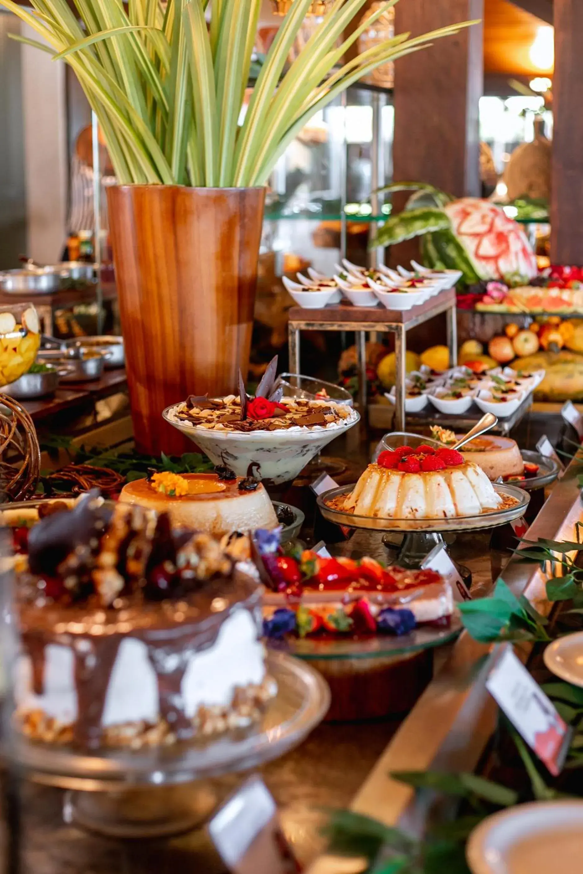 Food and drinks in Ocaporã Hotel All Inclusive Food and drinks in Ocaporã Hotel All Inclusive