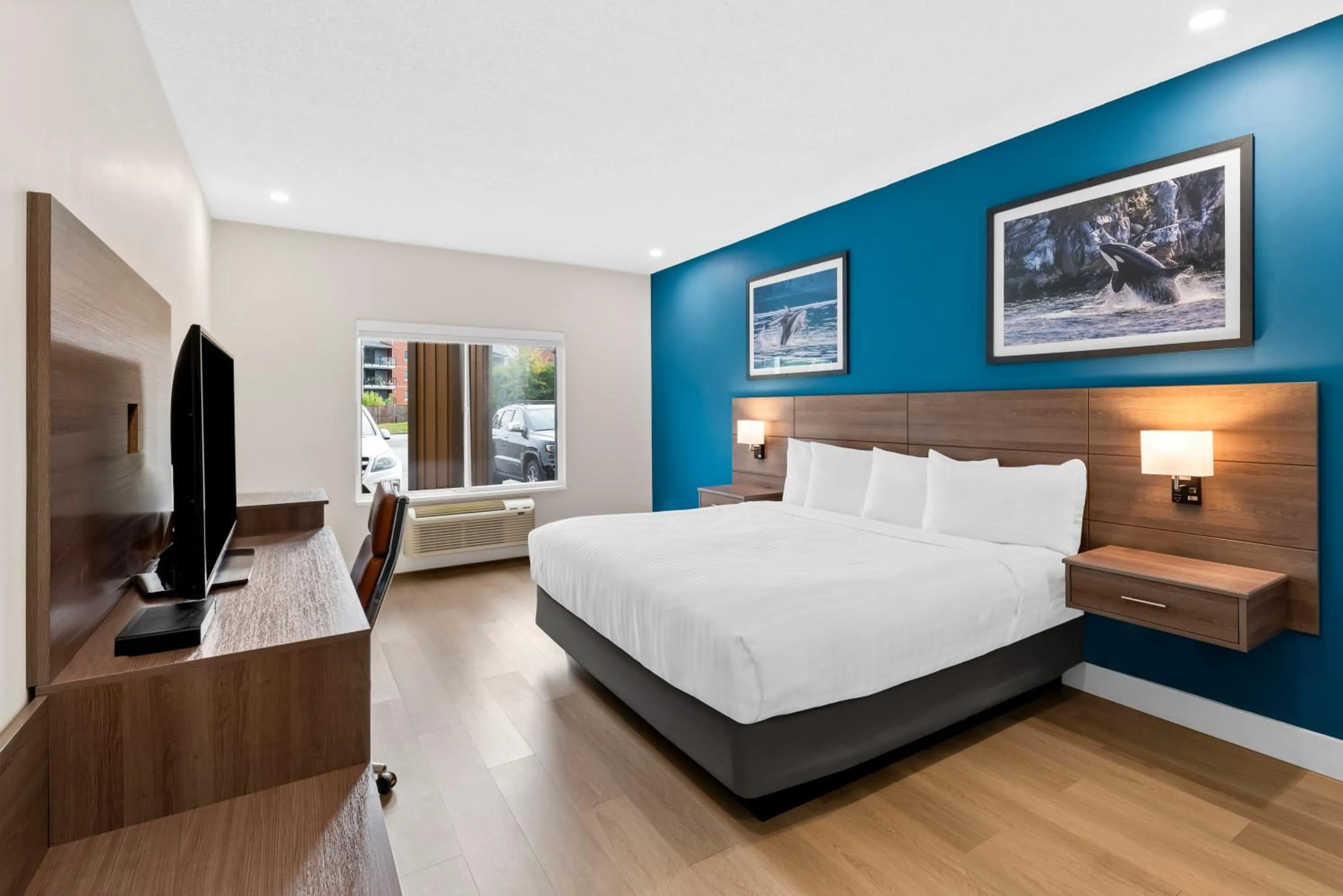 Bed in Travelodge by Wyndham Parksville