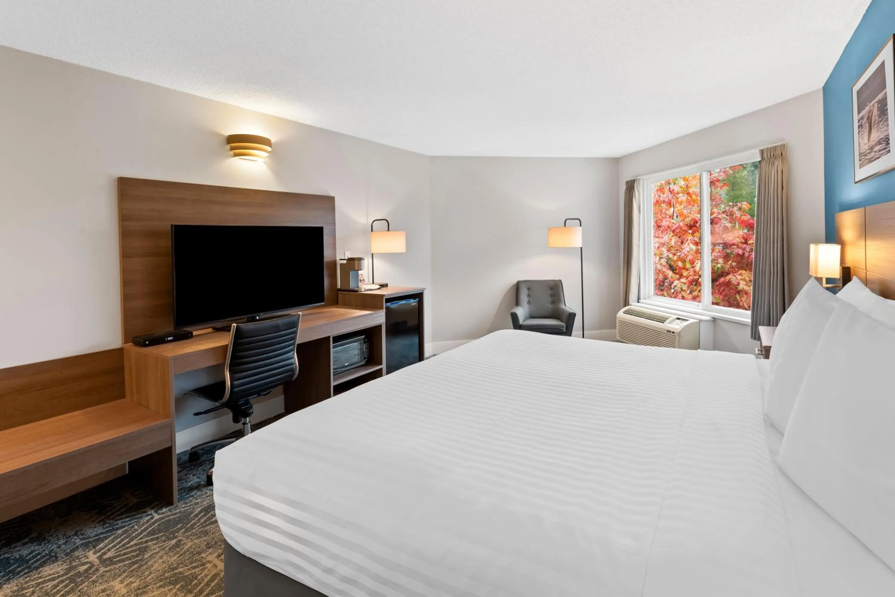 Bed in Travelodge by Wyndham Parksville