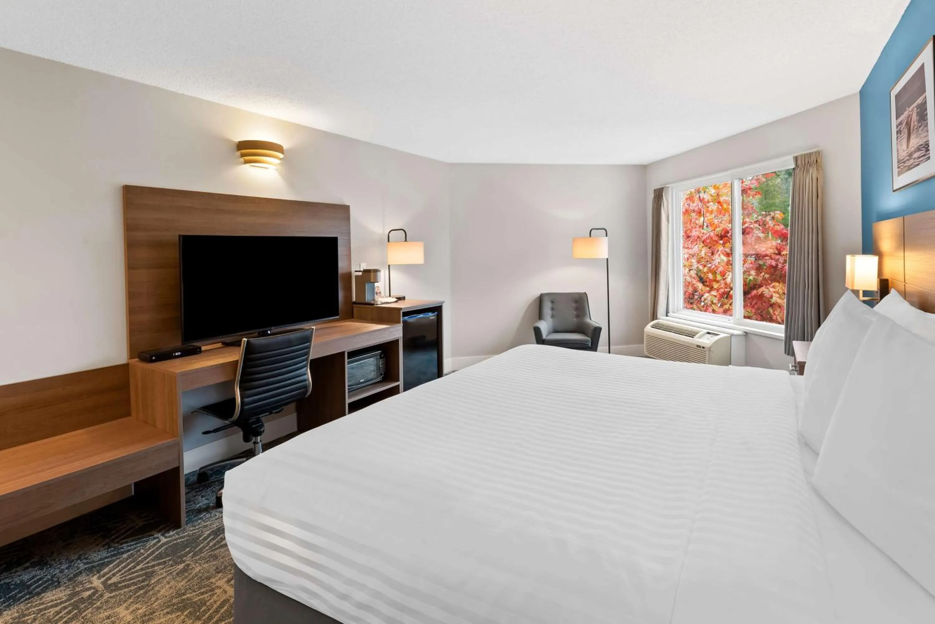 Bedroom, Bed in Travelodge by Wyndham Parksville