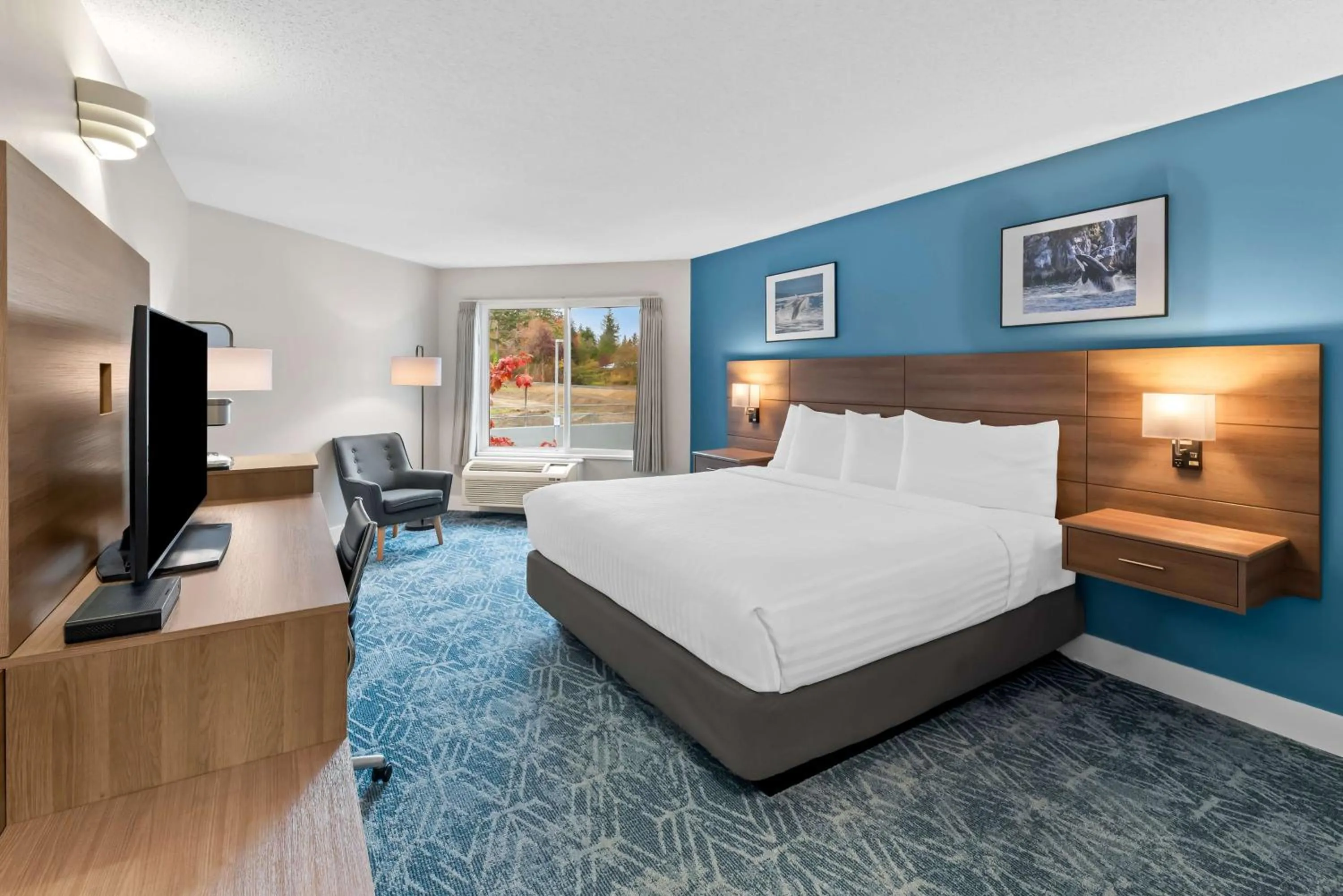Bedroom, Bed in Travelodge by Wyndham Parksville