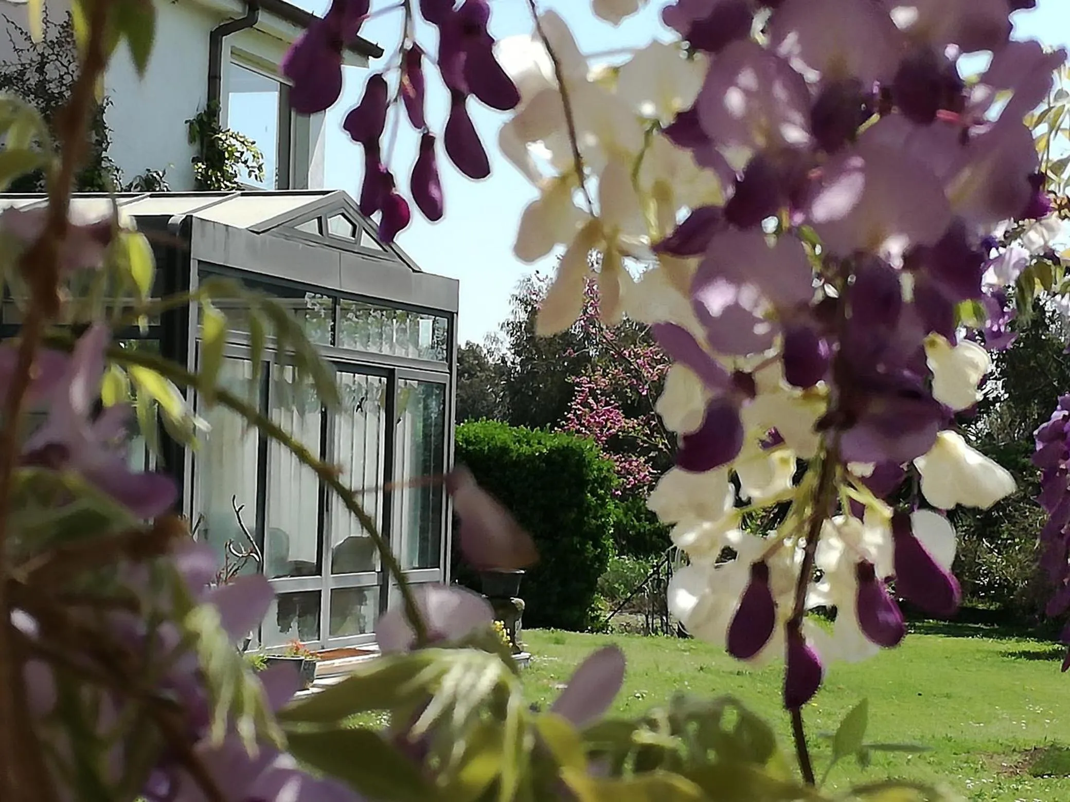 Patio in Poderi di Tragliatella