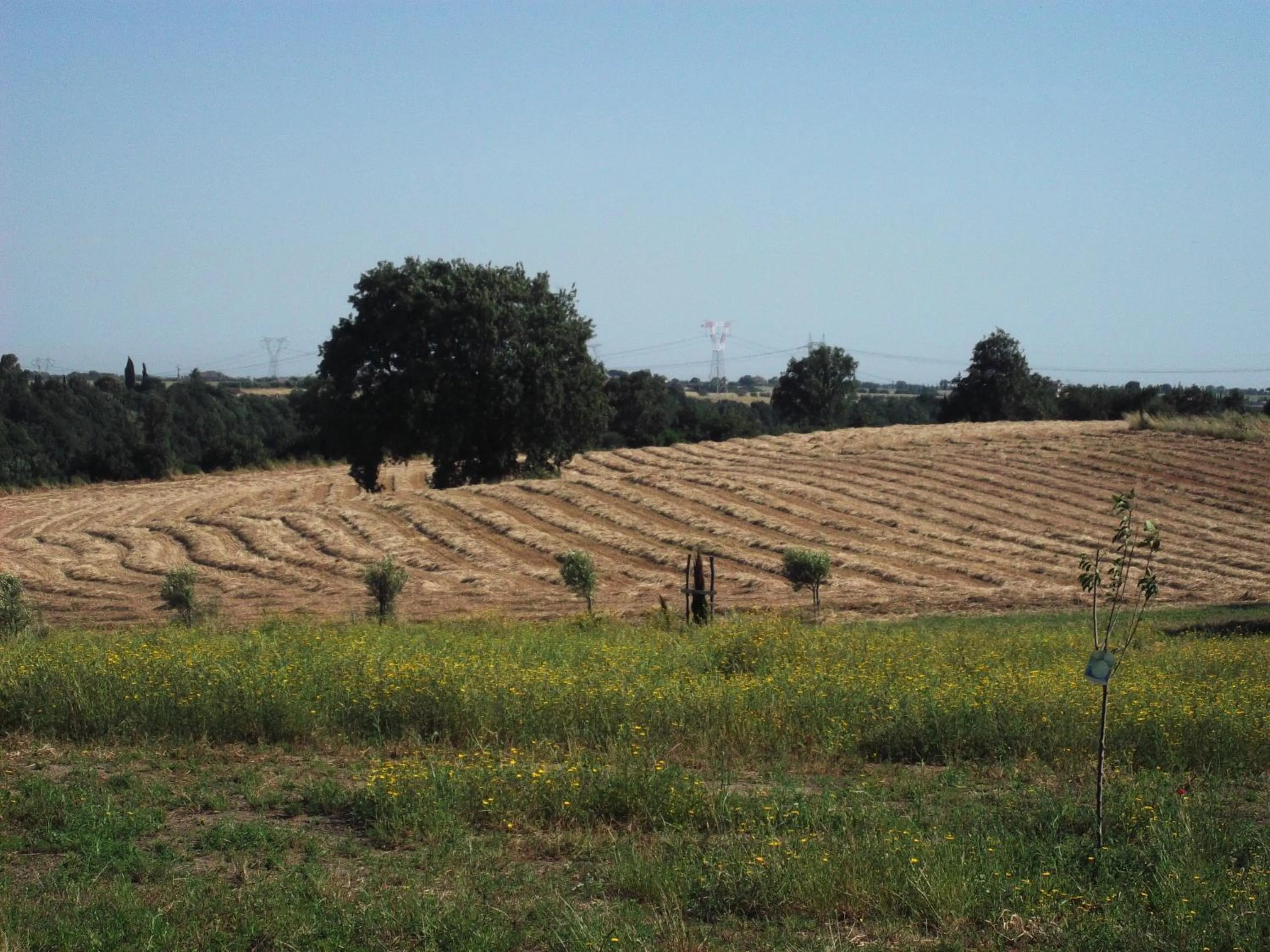 Natural landscape in Poderi di Tragliatella